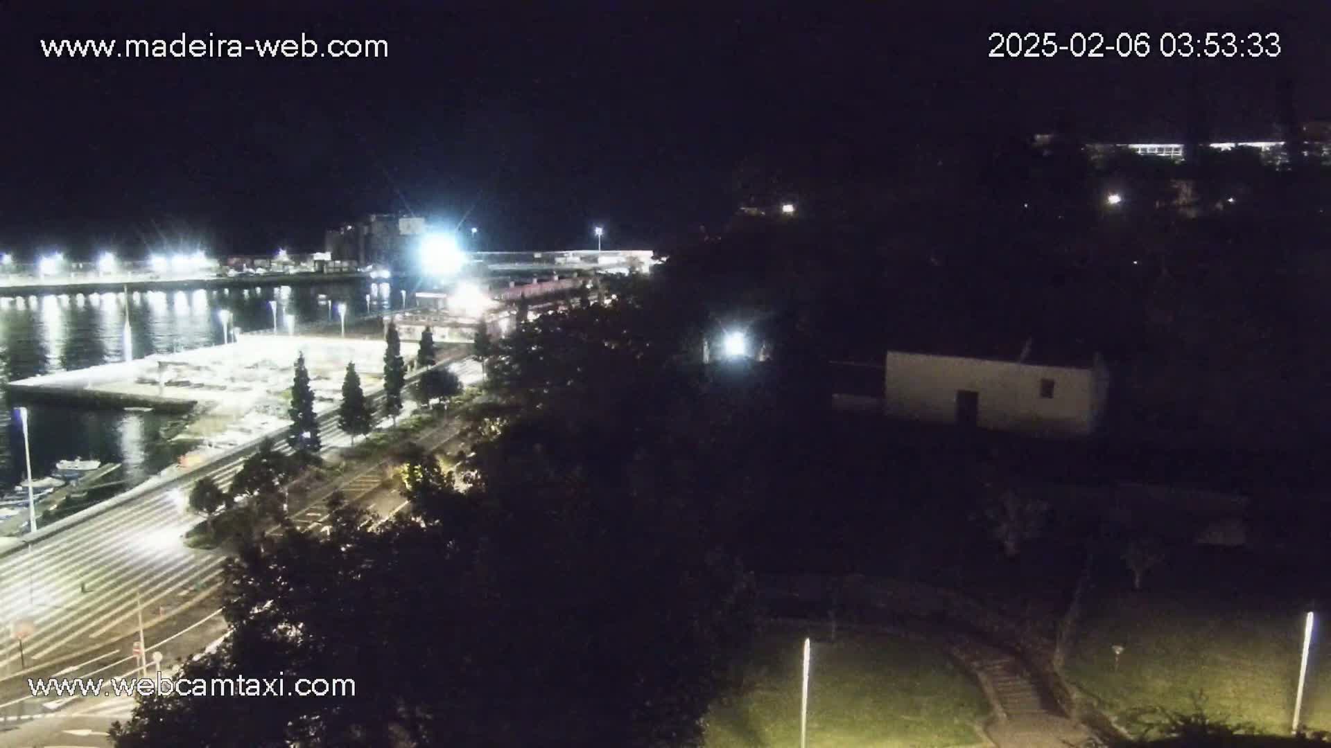 A nighttime view of a harbor with boats docked, a roadway, and surrounding trees and buildings under clear skies.