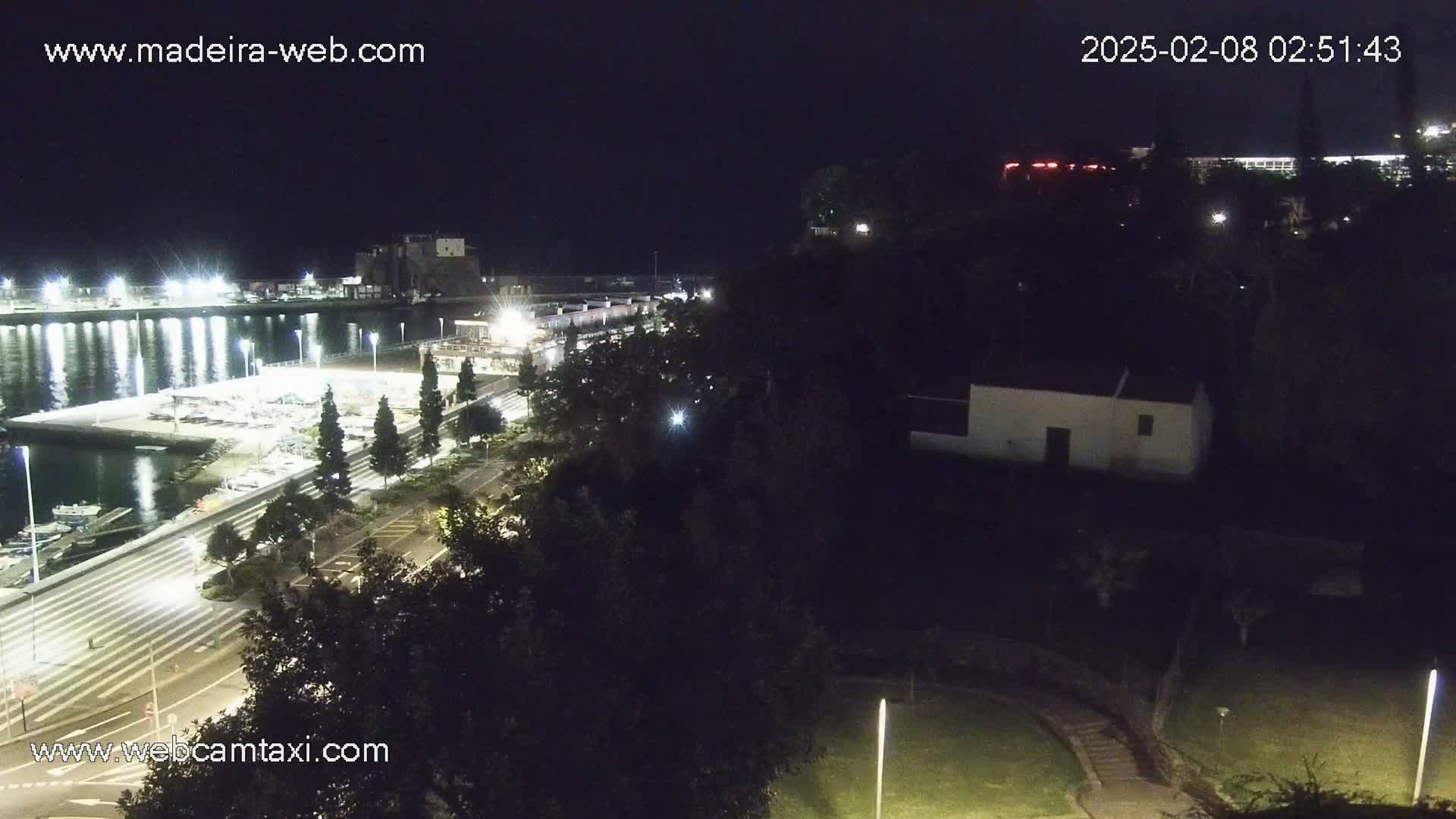 A nighttime view of a harbor marina with a road and buildings on a hill overlooking it under clear skies.