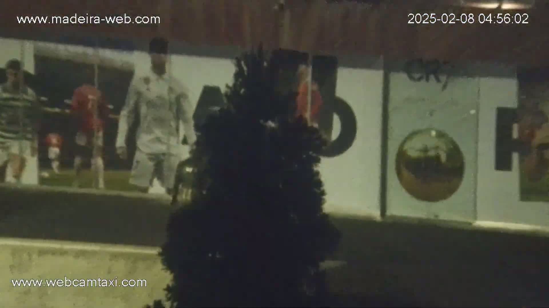 A nighttime, blurry outdoor video shows several people walking past a wall with large advertisements, partially obscured by a dark evergreen shrub.
