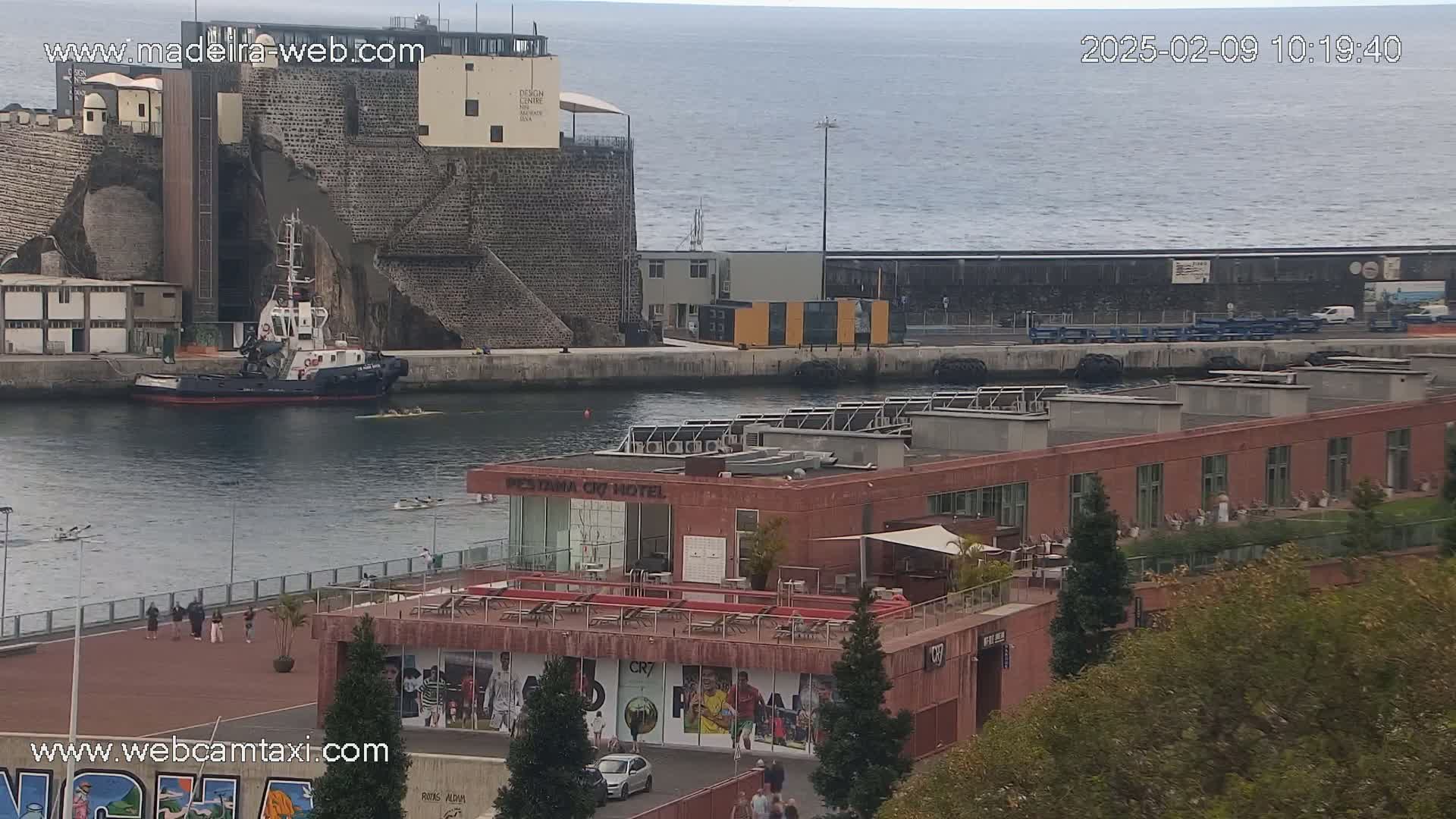 A harbor scene on a calm day shows a tugboat in the water, several rowers, a hotel, and other buildings along the waterfront.