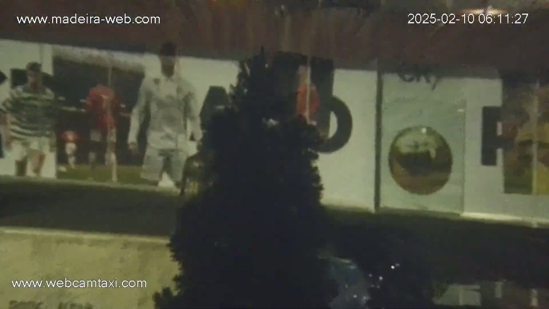 A blurry nighttime image shows a wall with advertisements featuring people in sports uniforms, partially obscured by a dark, possibly artificial, evergreen tree.