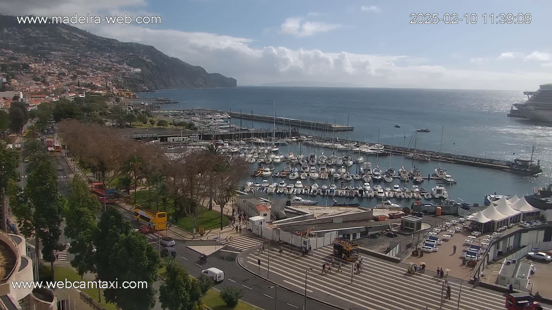 A partly cloudy day shows a marina filled with boats, a city built on a hillside, and a large cruise ship in the distance.