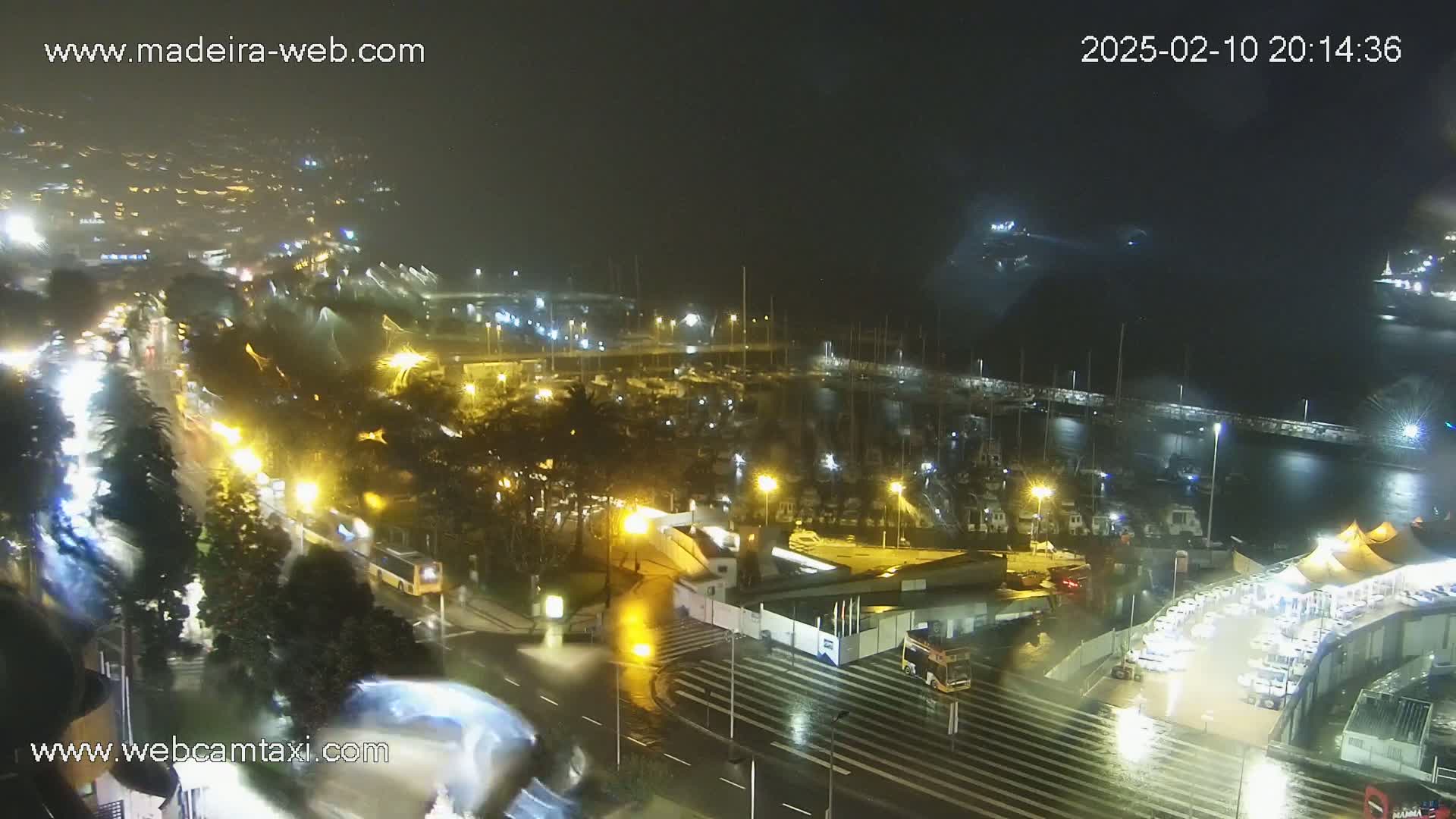 A rain-slicked harbor at night, filled with boats and illuminated by streetlights and building lights, is overlooked by a hilly town.