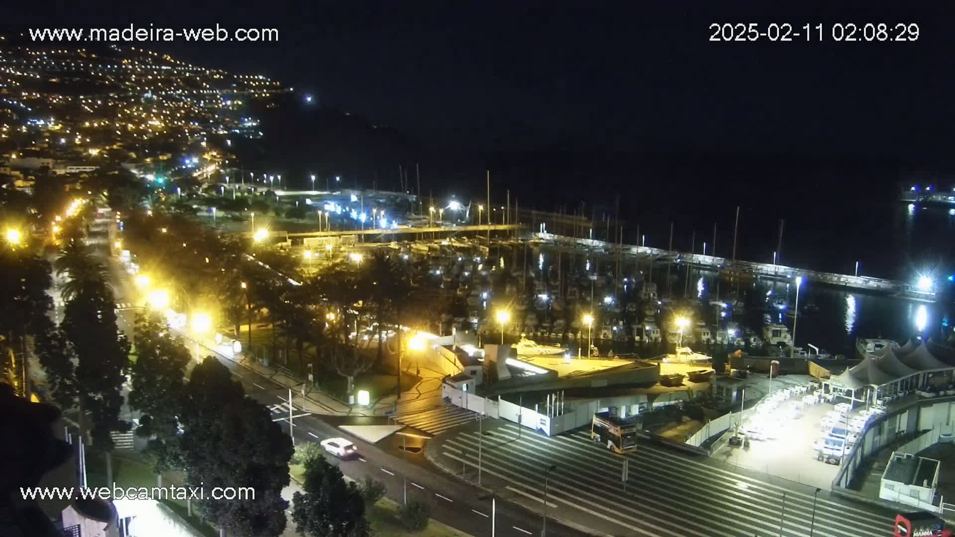 A nighttime aerial view of a marina filled with boats, a road with cars, and a hillside town illuminated with lights.