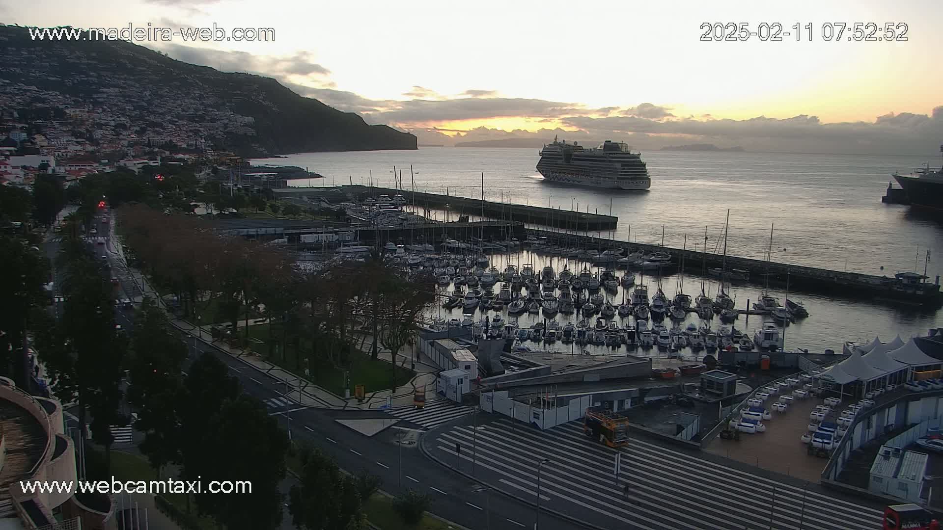 A marina filled with numerous sailboats and yachts is situated near a hillside town at sunrise under a partly cloudy sky, with a large cruise ship visible in the harbor.