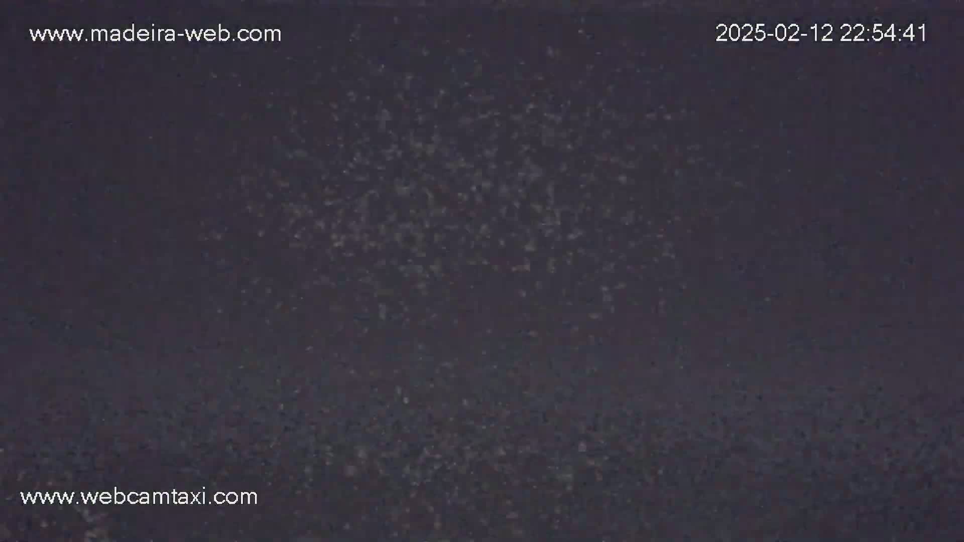 A dark, nighttime scene shows many small, light-colored specks scattered across a dark surface.