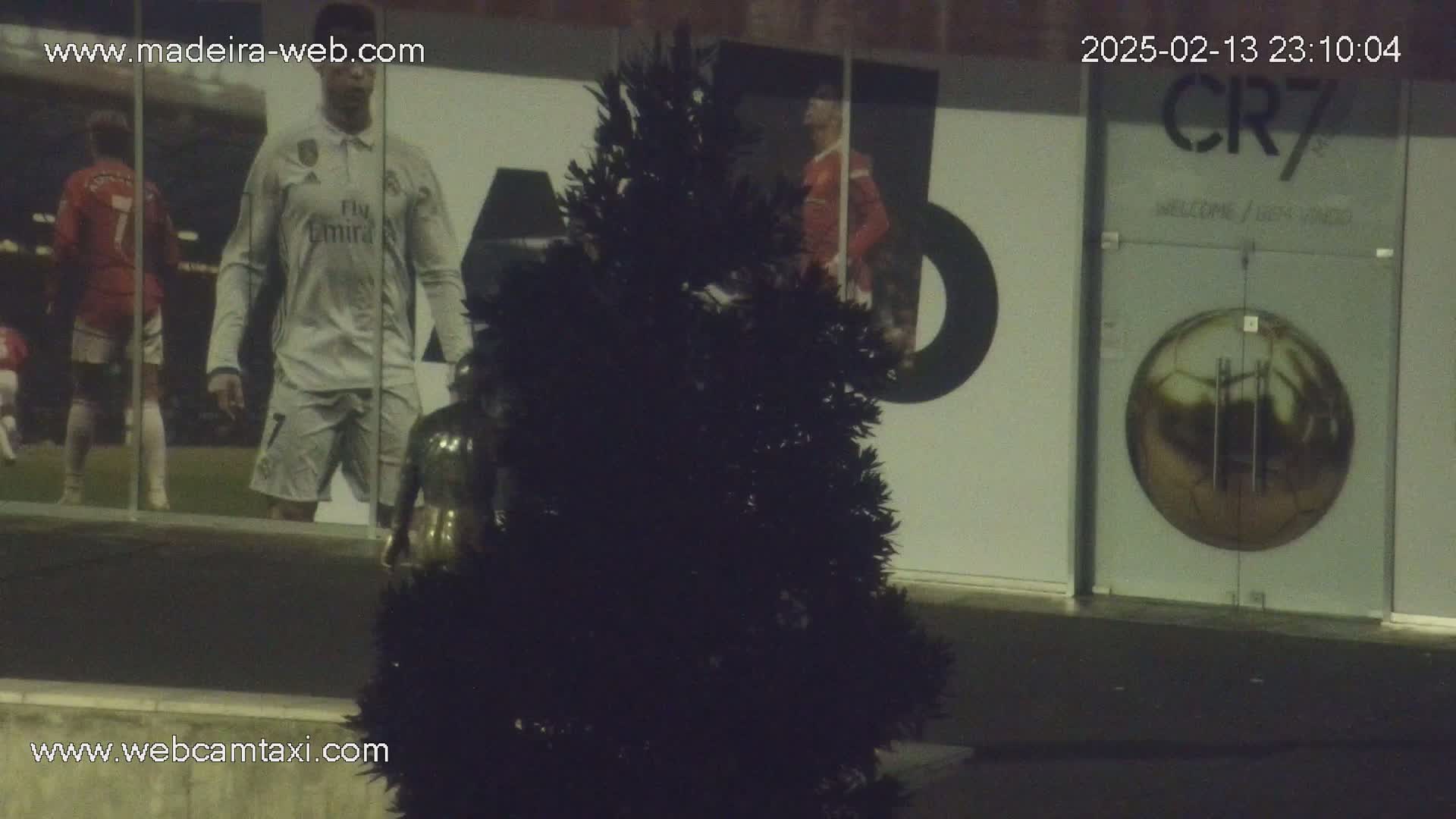 A dark evergreen shrub sits in front of a building at night, partially obscuring a large image of soccer players and a golden soccer ball on the building's exterior.