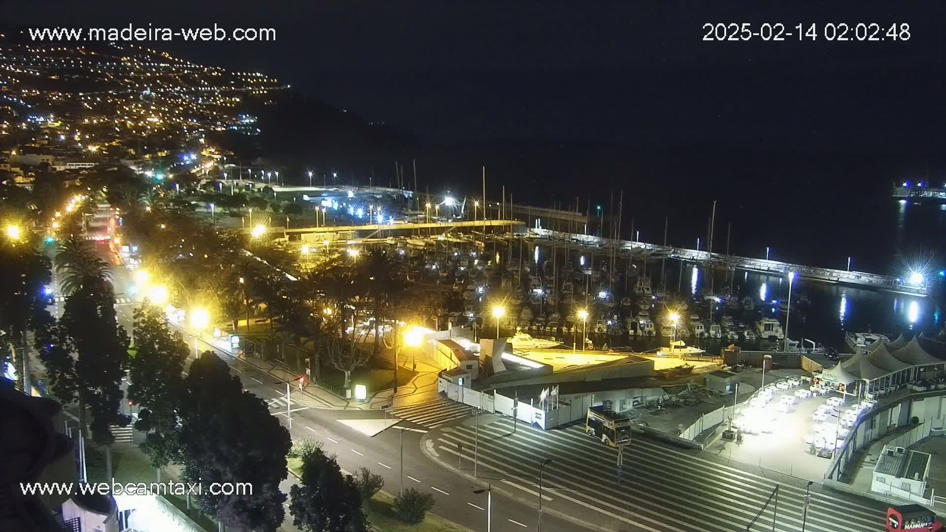 A nighttime aerial view of a marina filled with boats, adjacent to a city illuminated with streetlights, under a clear, dark sky.