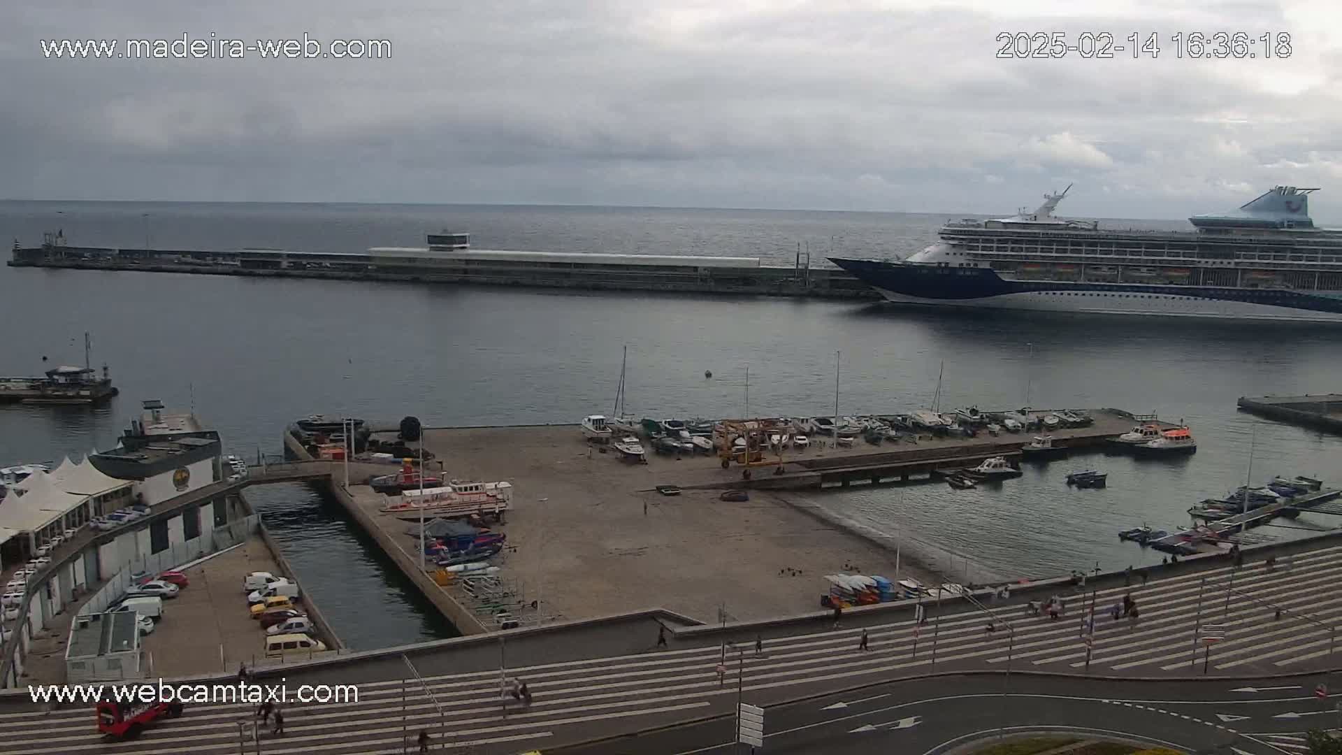 A large cruise ship is docked at a harbor filled with smaller boats and surrounded by buildings under an overcast sky.