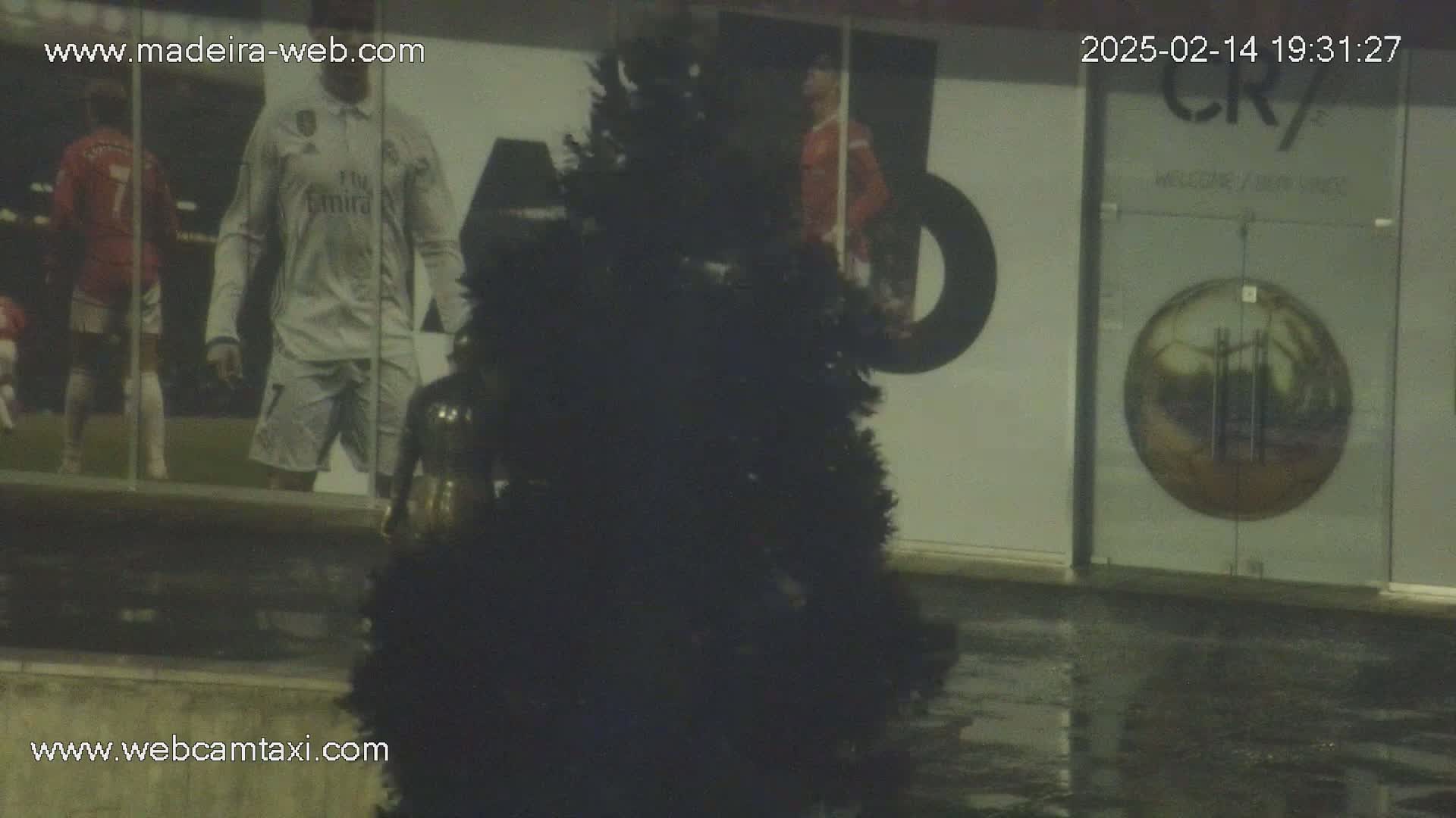 A dark, wet nighttime scene shows a large artificial evergreen tree in front of a building with images of soccer players on its exterior.