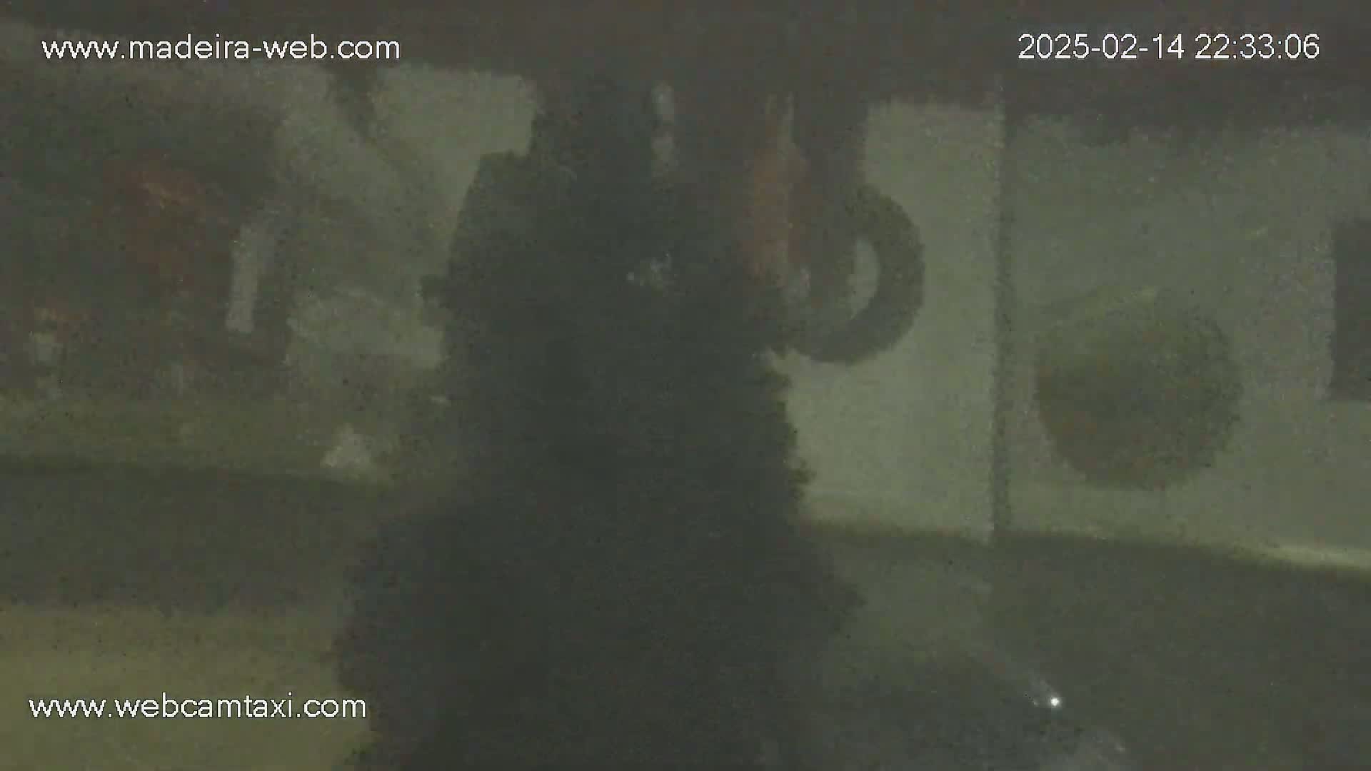 A blurry, dark figure stands in what appears to be a dimly lit, wet outdoor area at night.