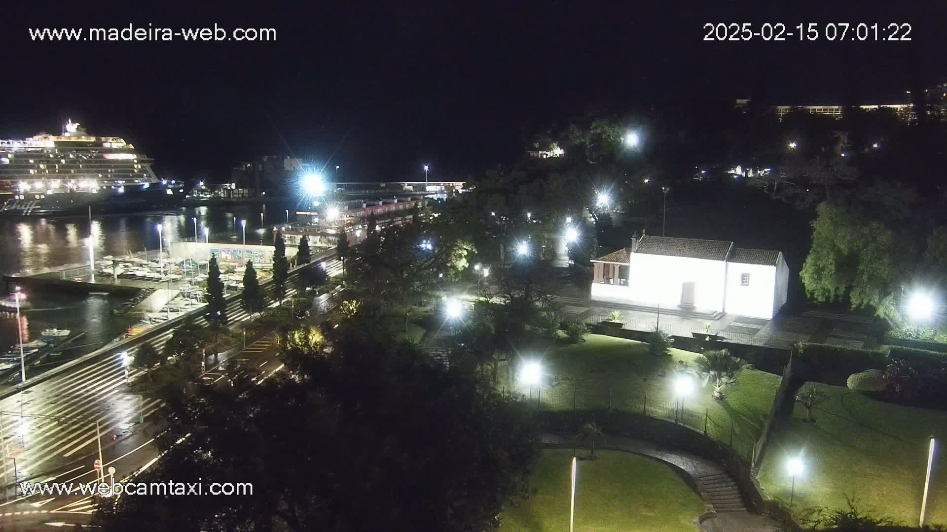 A nighttime view of a harbor with a cruise ship, a marina, and a small, illuminated building in a park, under a clear sky.