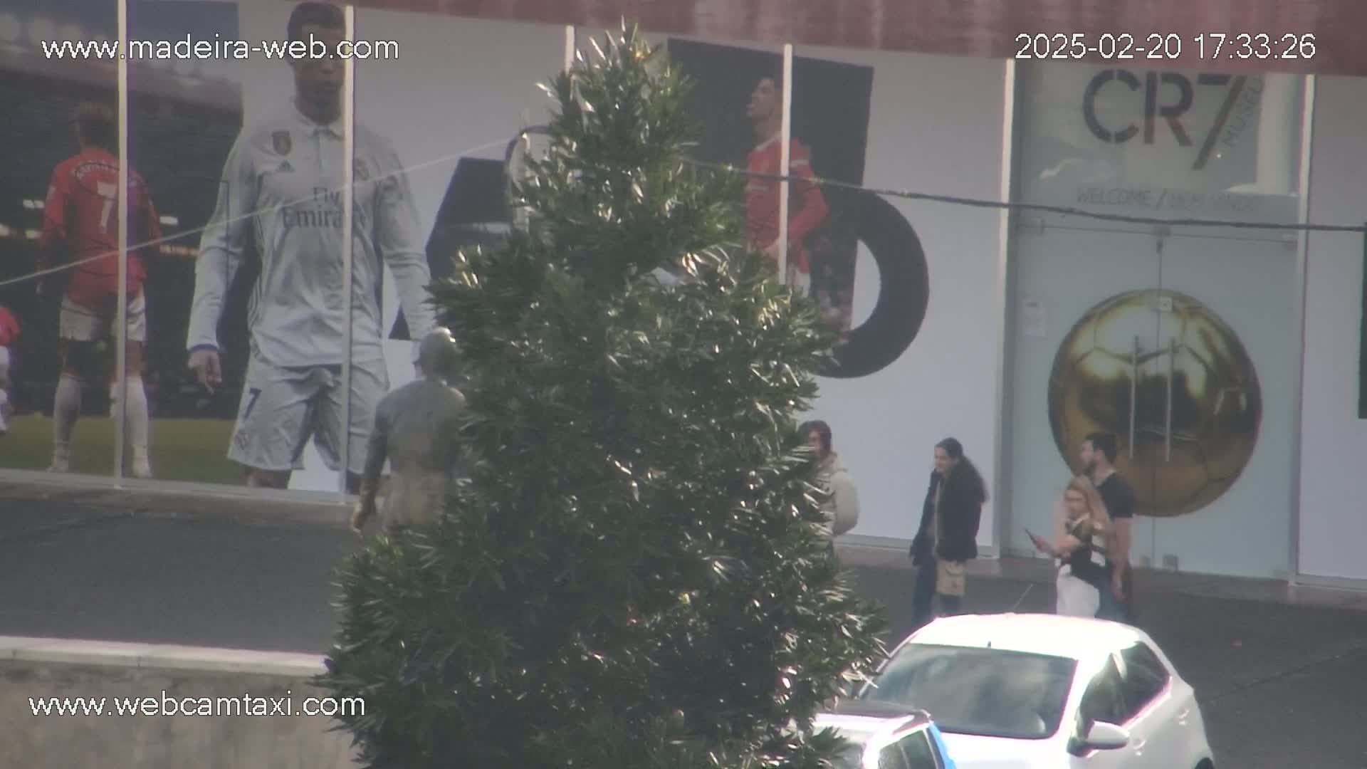 A large evergreen bush sits in front of a building displaying large images of soccer players, with several pedestrians walking by on a sunny day.