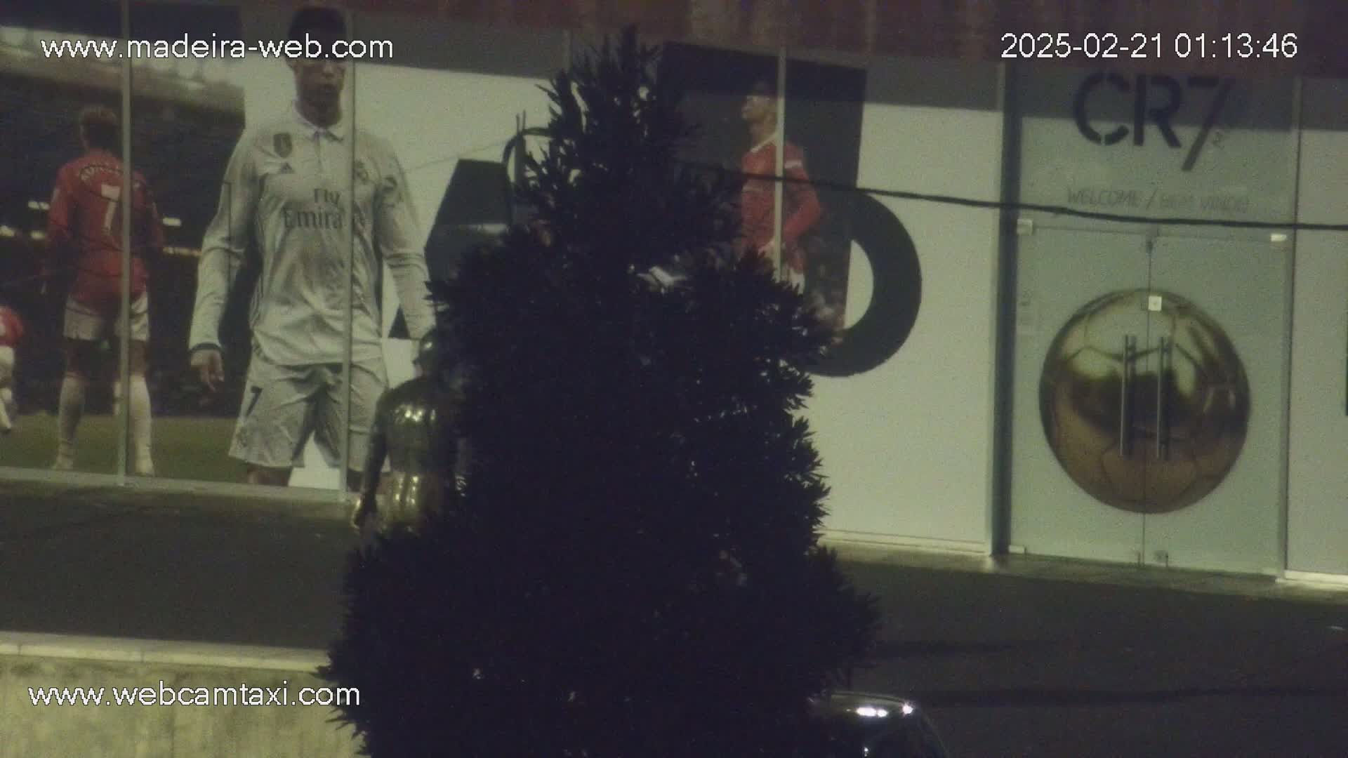 At night, a large building displays images of soccer players, alongside a dark evergreen tree.