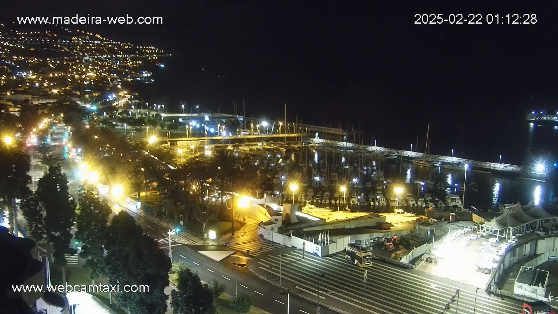 A nighttime aerial view of a marina filled with boats, adjacent to a city with illuminated streets and buildings, under a clear, dark sky.