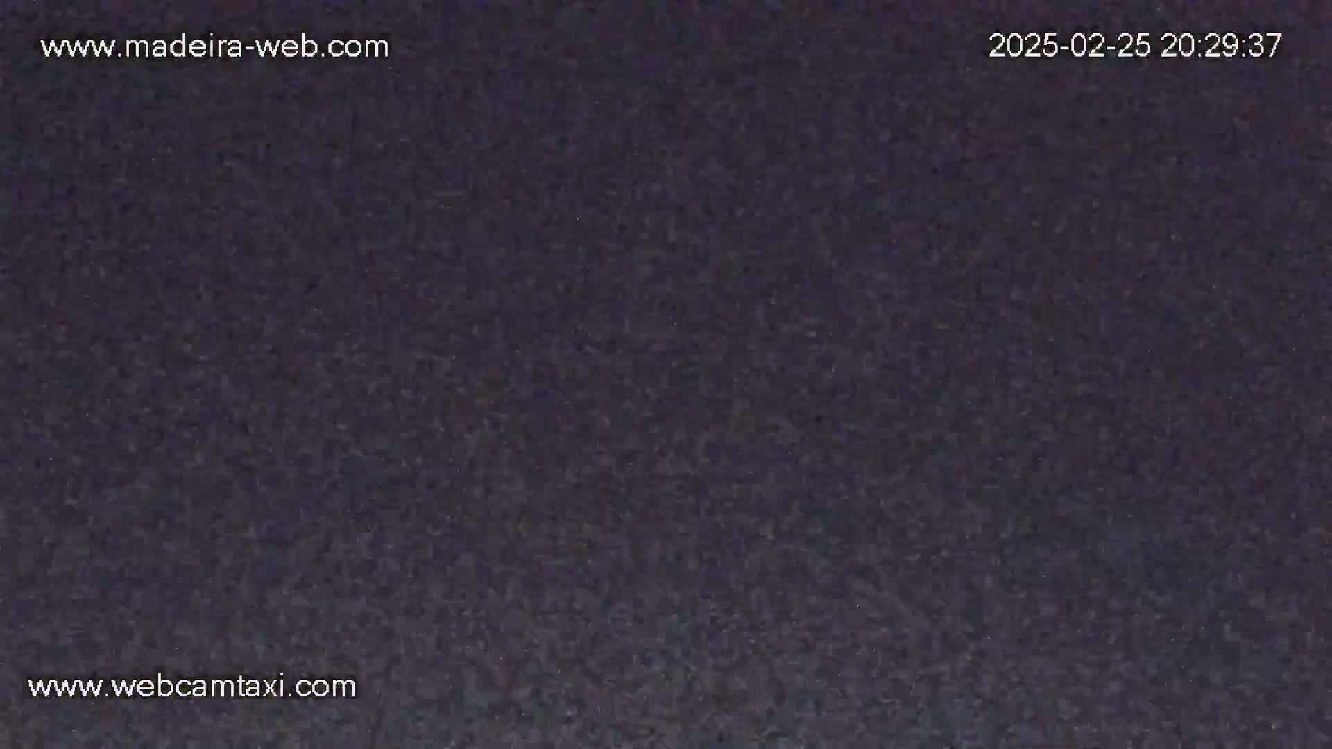 A dark, grainy image shows a night-time view of a uniformly textured surface.