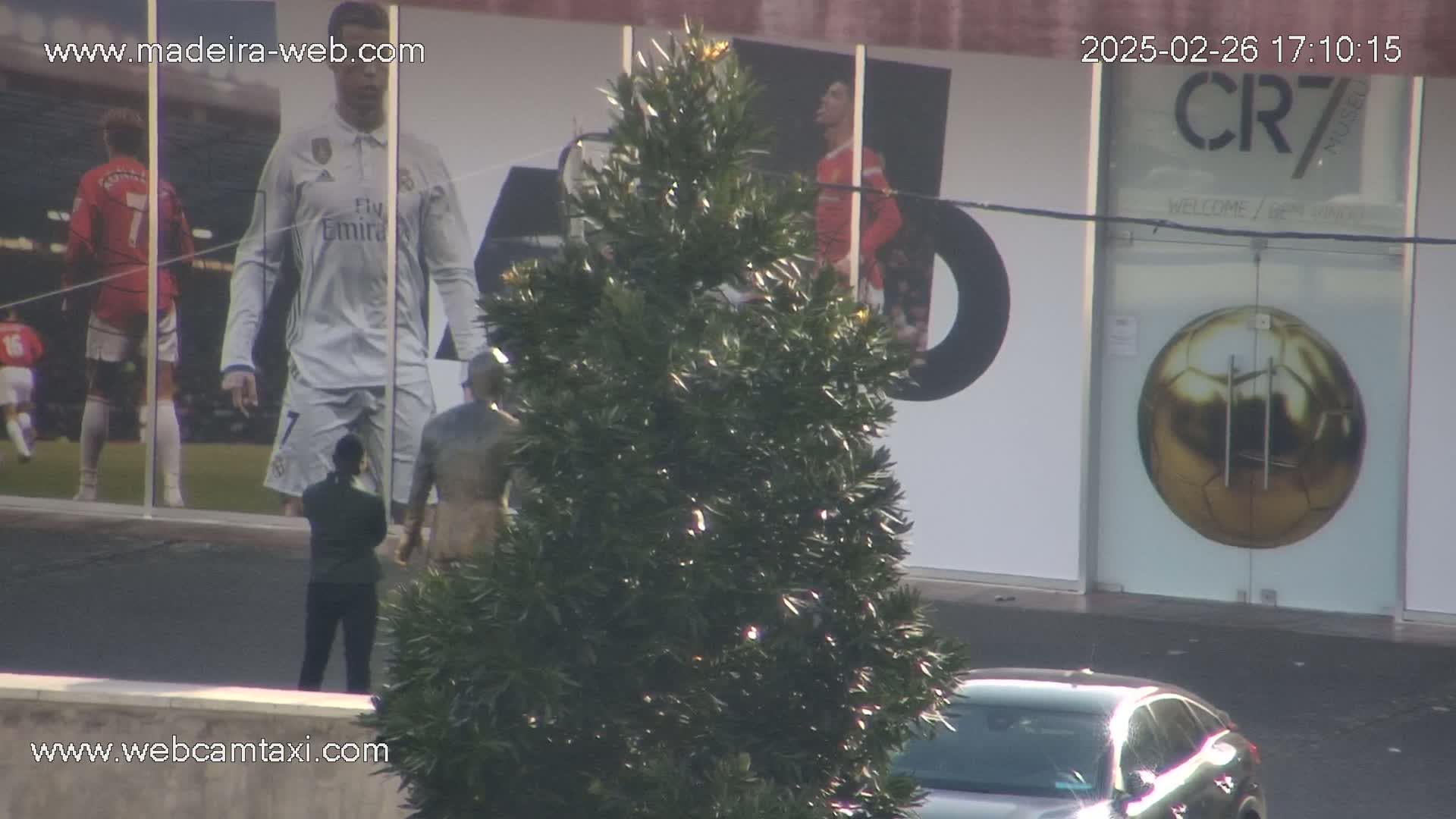 A large evergreen tree stands in front of a building displaying images of soccer players and a golden soccer ball, partially obscuring the view of a dark-colored car parked nearby on a sunny day.
