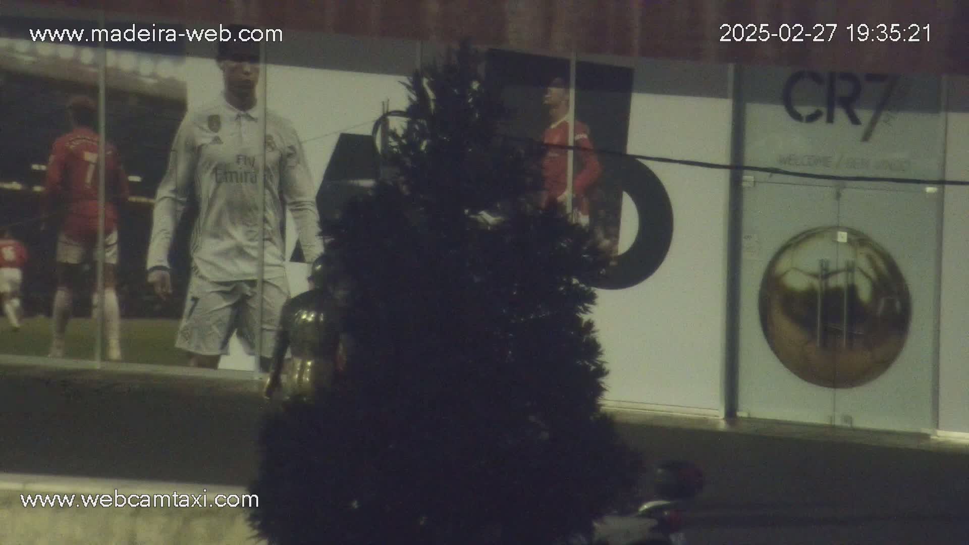 A nighttime outdoor view shows a large building with a window displaying images of soccer players and a large golden soccer ball, partially obscured by a dark evergreen tree.