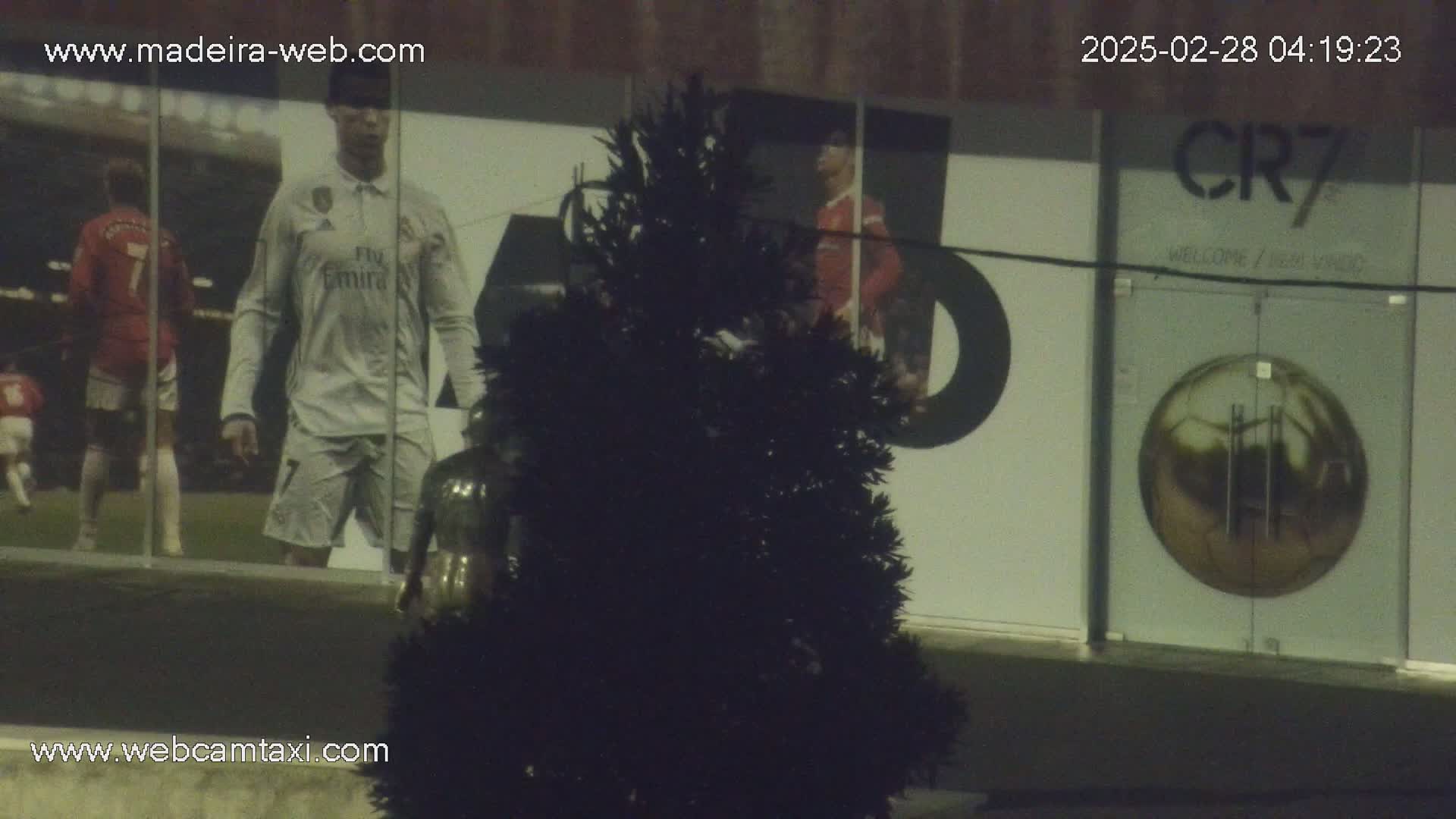 A nighttime view of a building with large images of soccer players on its exterior, a small evergreen tree in the foreground, and a large circular design on a glass door.
