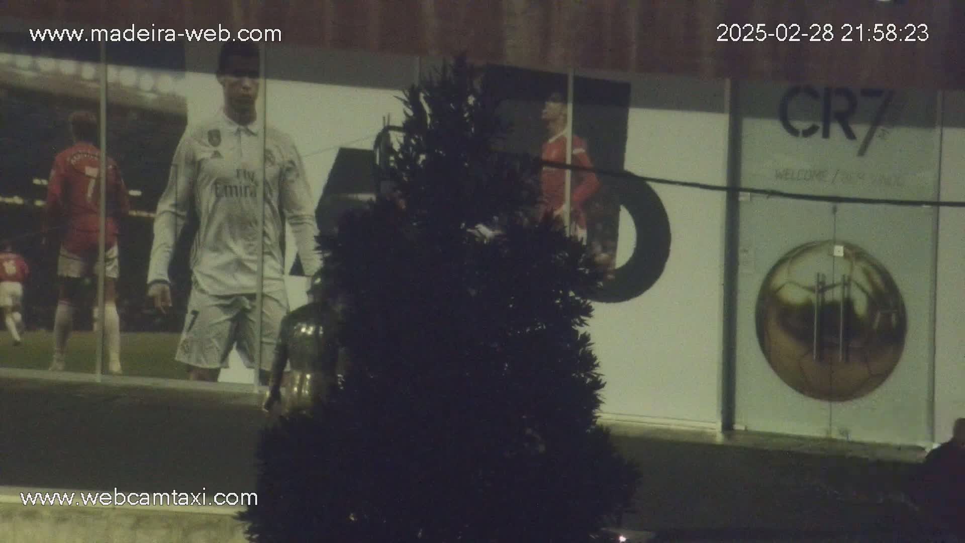 A nighttime outdoor view shows a large building with images of soccer players on its exterior walls, partially obscured by a dark evergreen tree.