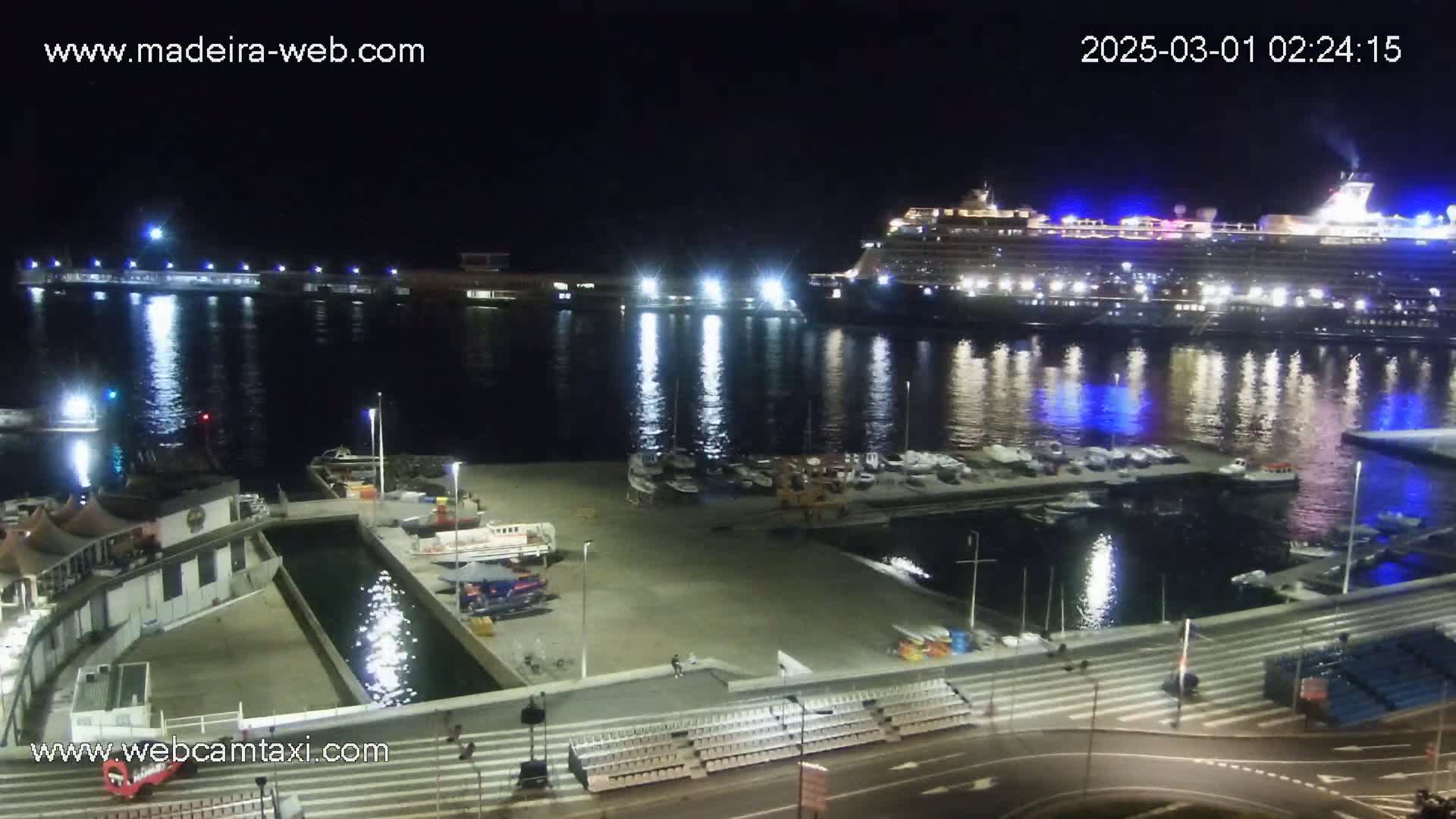 A large cruise ship is docked at a marina at night, with smaller boats moored nearby under clear skies.