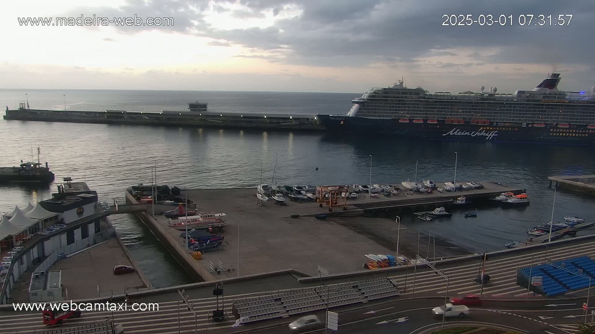 A large cruise ship is docked at a harbor, with numerous smaller boats moored nearby under an overcast sky.