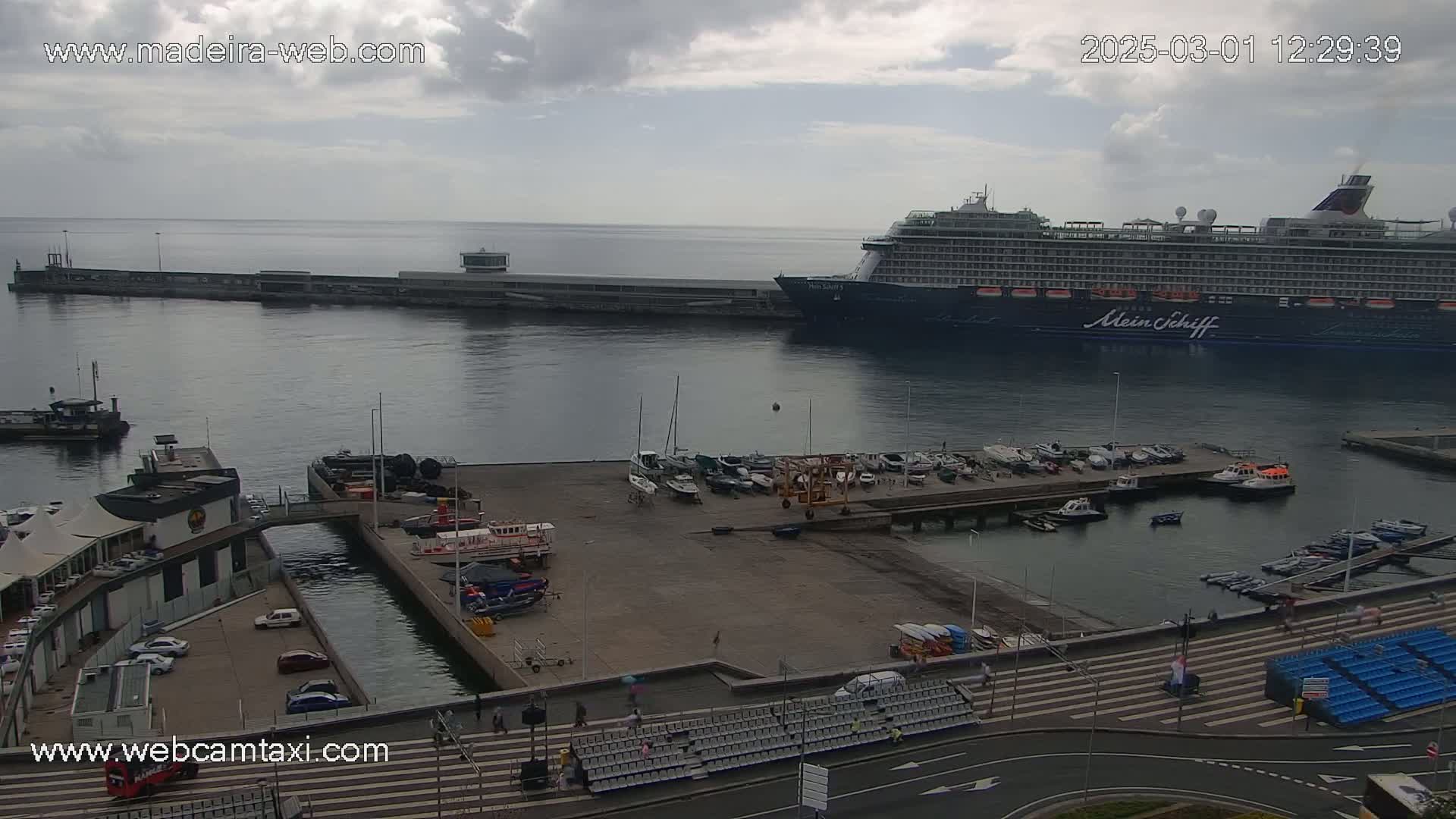 A large cruise ship is docked at a harbor, with smaller boats and a marina visible, under a partly cloudy sky.