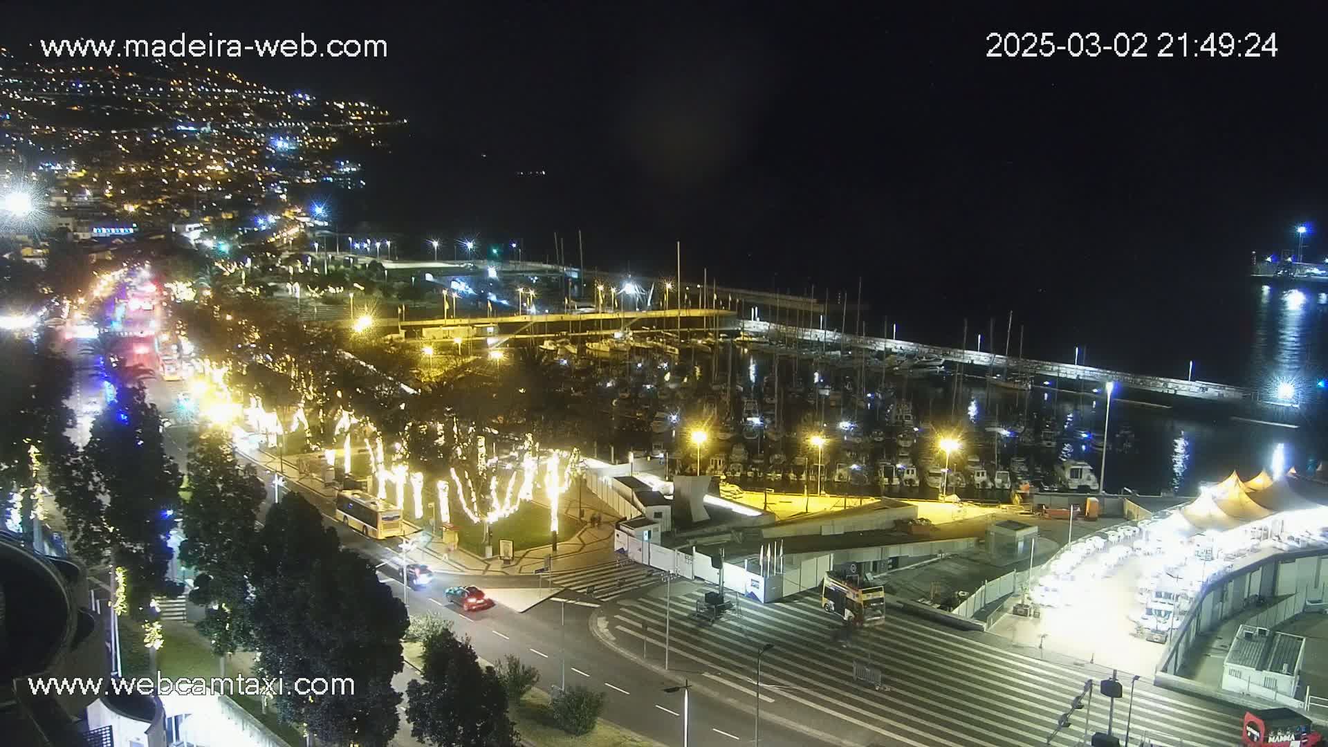 A nighttime aerial view of a harbor filled with boats, a roadway with traffic, and illuminated trees along the waterfront under clear skies.