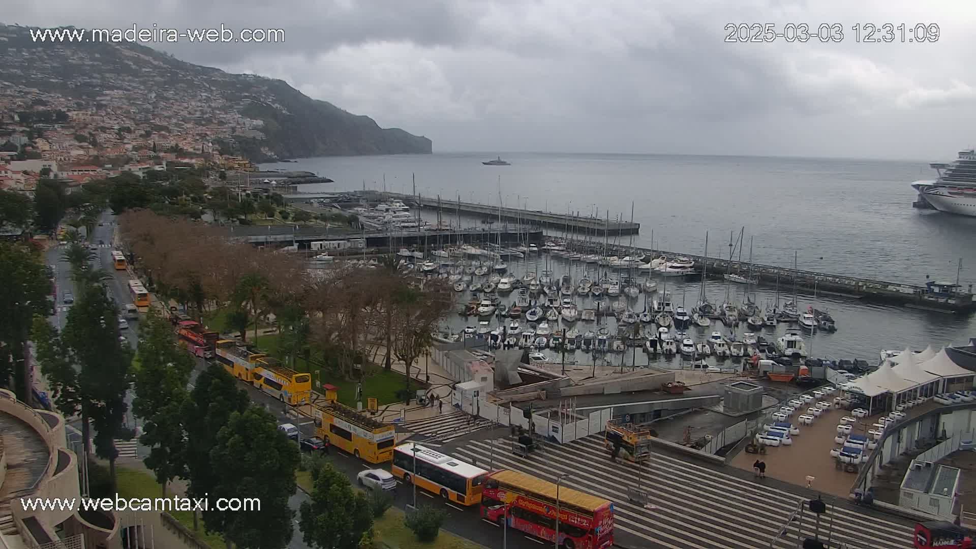 A harbor filled with numerous boats is seen from an elevated vantage point on an overcast day, with a city and mountains in the background.