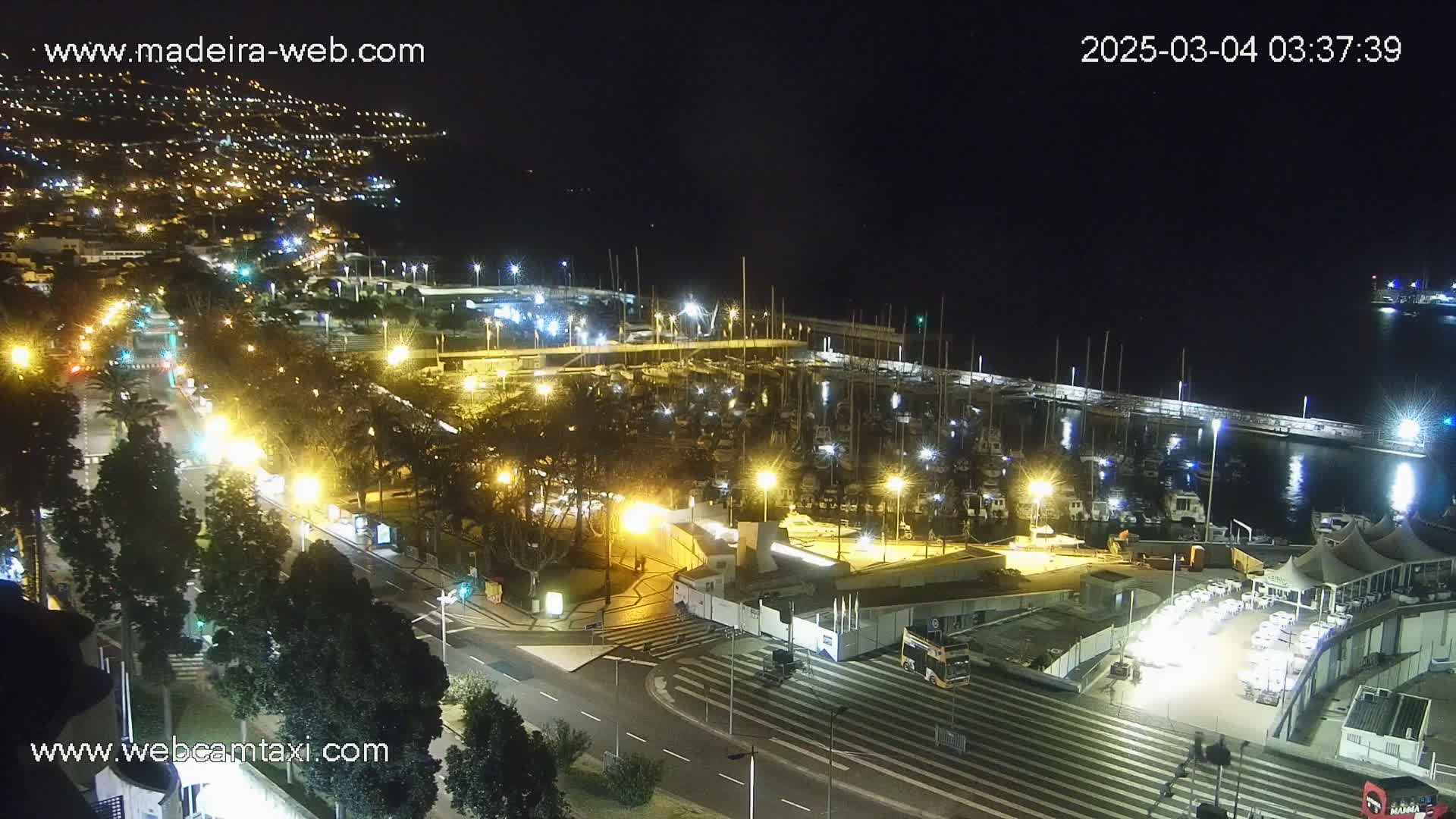 A nighttime aerial view of a harbor filled with boats, alongside a brightly lit city road and a hill dotted with lights in the background, under a clear night sky.