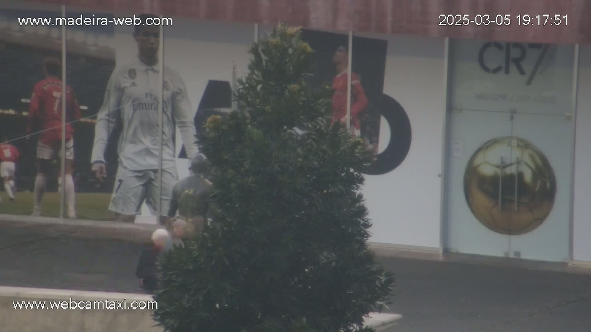 A large evergreen shrub sits in front of a building displaying oversized images of soccer players and a golden soccer ball.