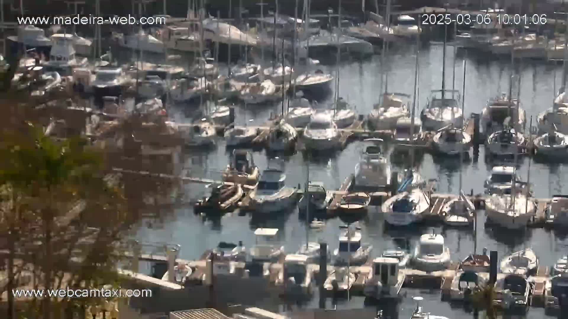 A sunny day overlooking a crowded marina filled with numerous boats of various sizes docked at piers.