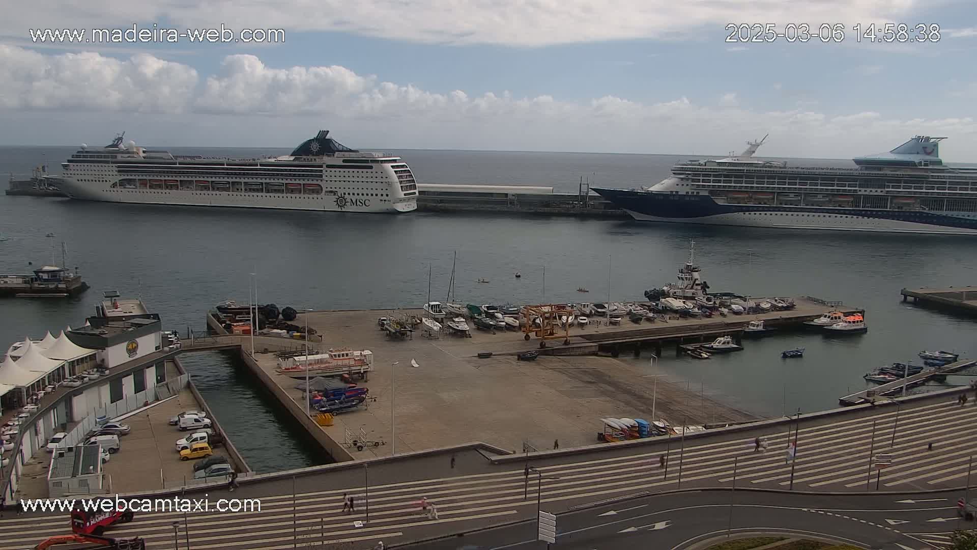 Two large cruise ships are docked at a harbor on a partly cloudy day, with numerous smaller boats and a marina visible in the foreground.