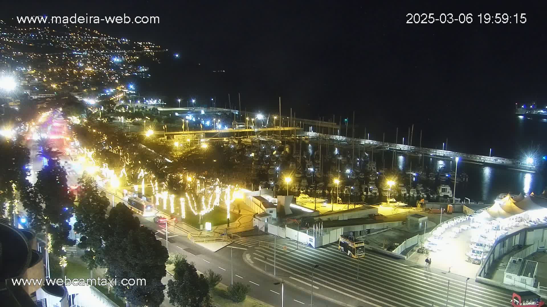 A nighttime aerial view of a marina filled with boats, adjacent to a roadway with cars and string lights illuminating trees, under a clear night sky.