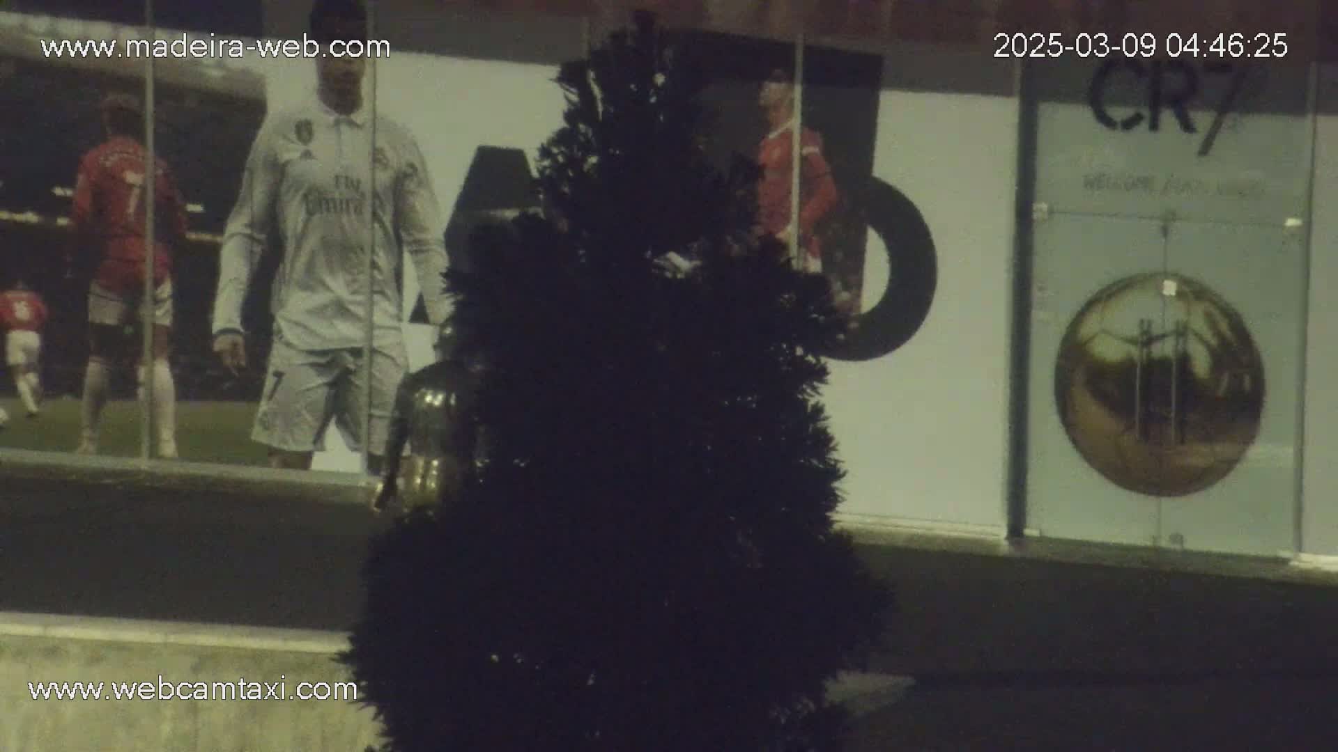 A dark green artificial Christmas tree sits in front of a window displaying images of soccer players and a large golden soccer ball.