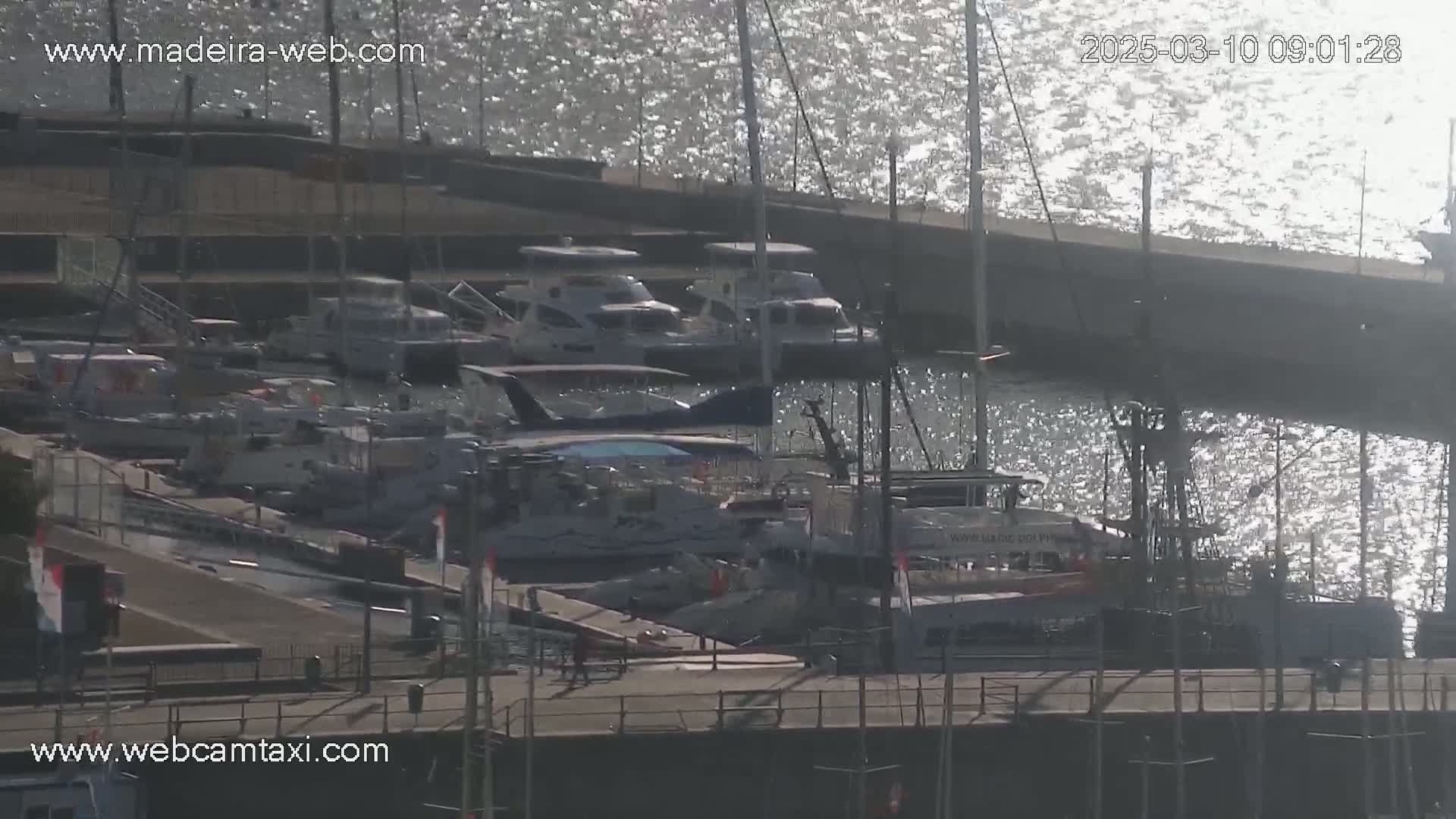 Many boats are docked at a marina on a sunny day with sparkling water.