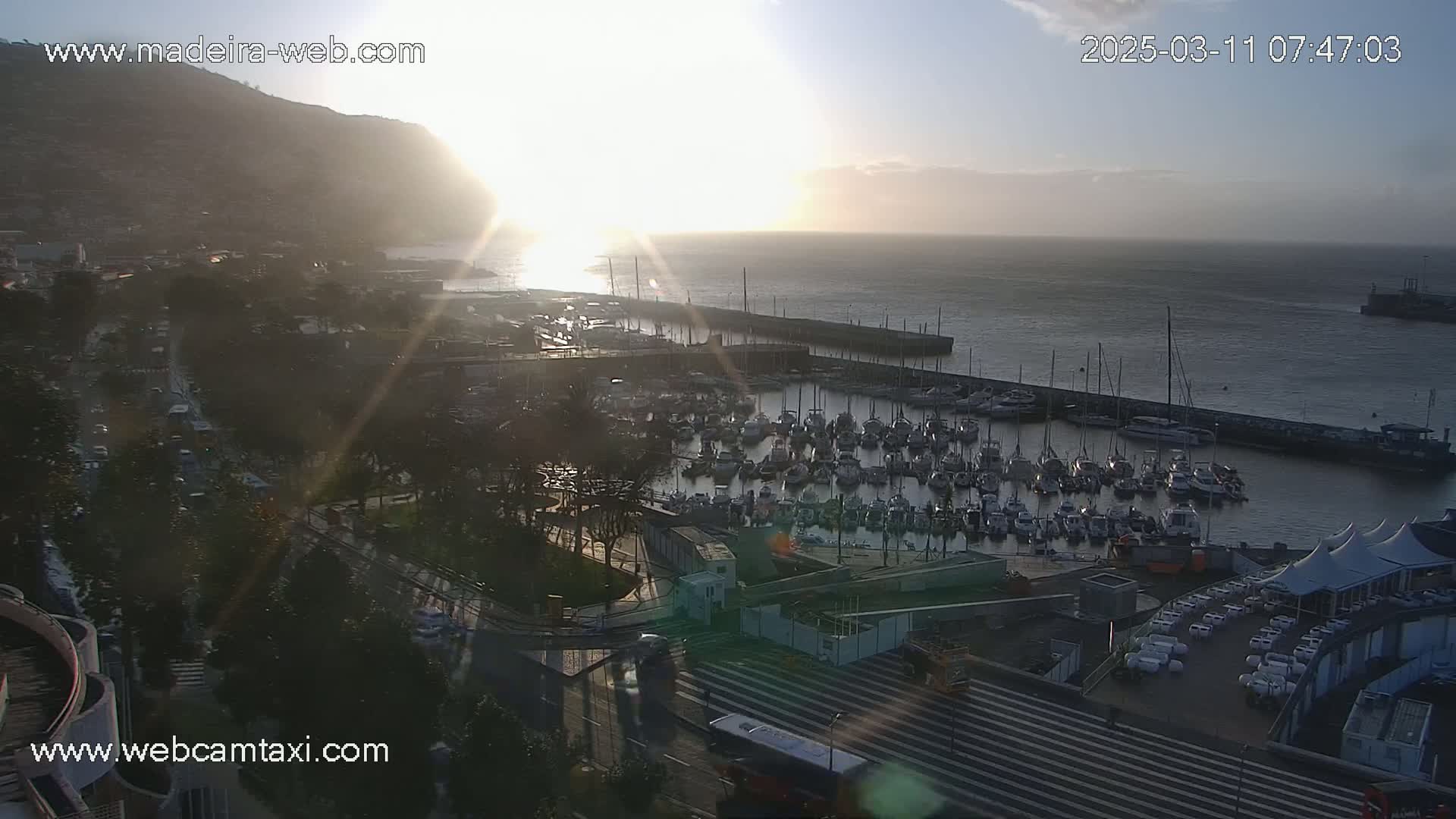 A harbor filled with numerous boats is seen at sunrise, with a hill and city in the background under hazy, clear skies.