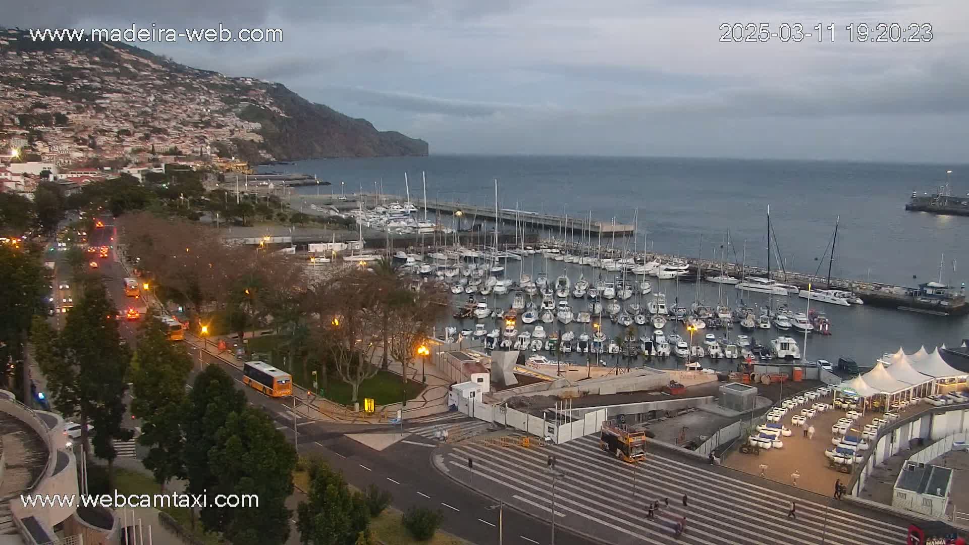 A harbor filled with numerous boats is situated below a hillside town, all under a cloudy evening sky.