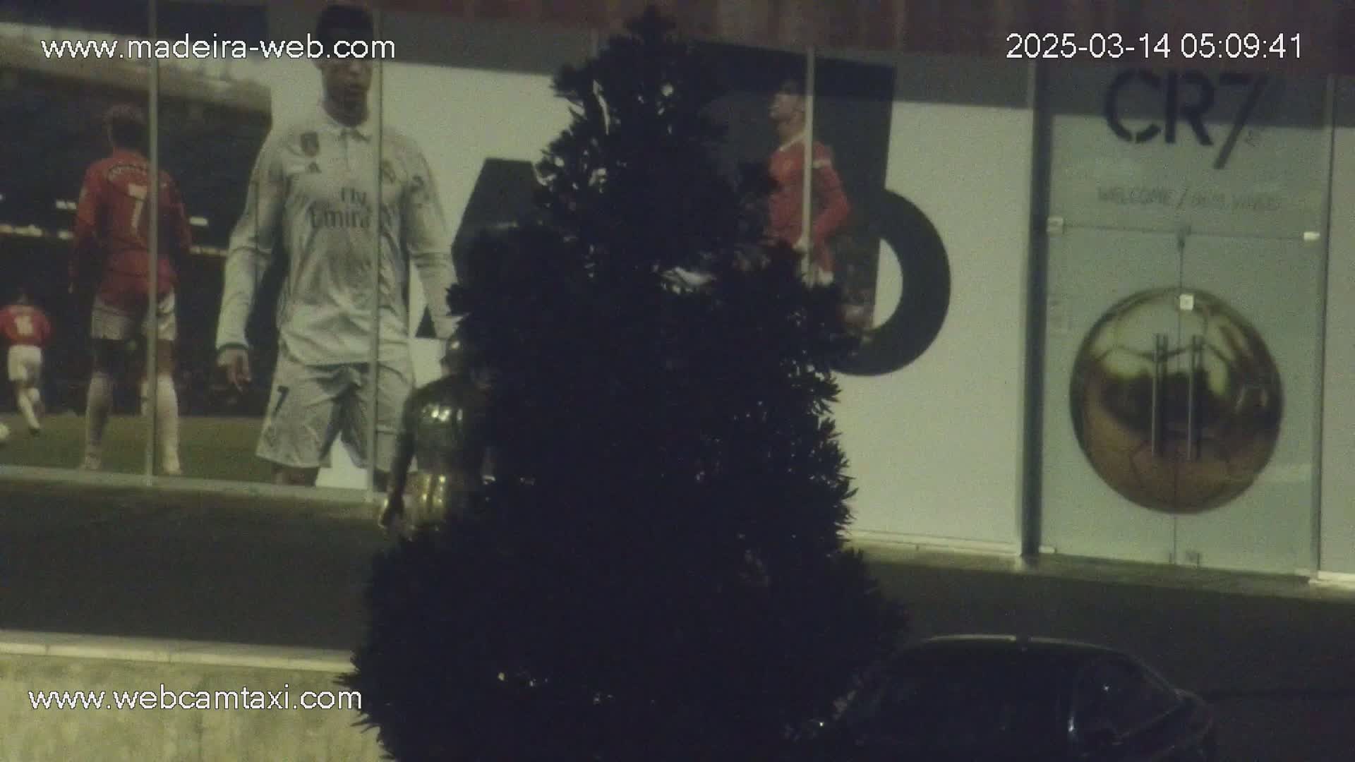 A black artificial Christmas tree sits in front of a building at night, with a large image of soccer players visible on the building's exterior.