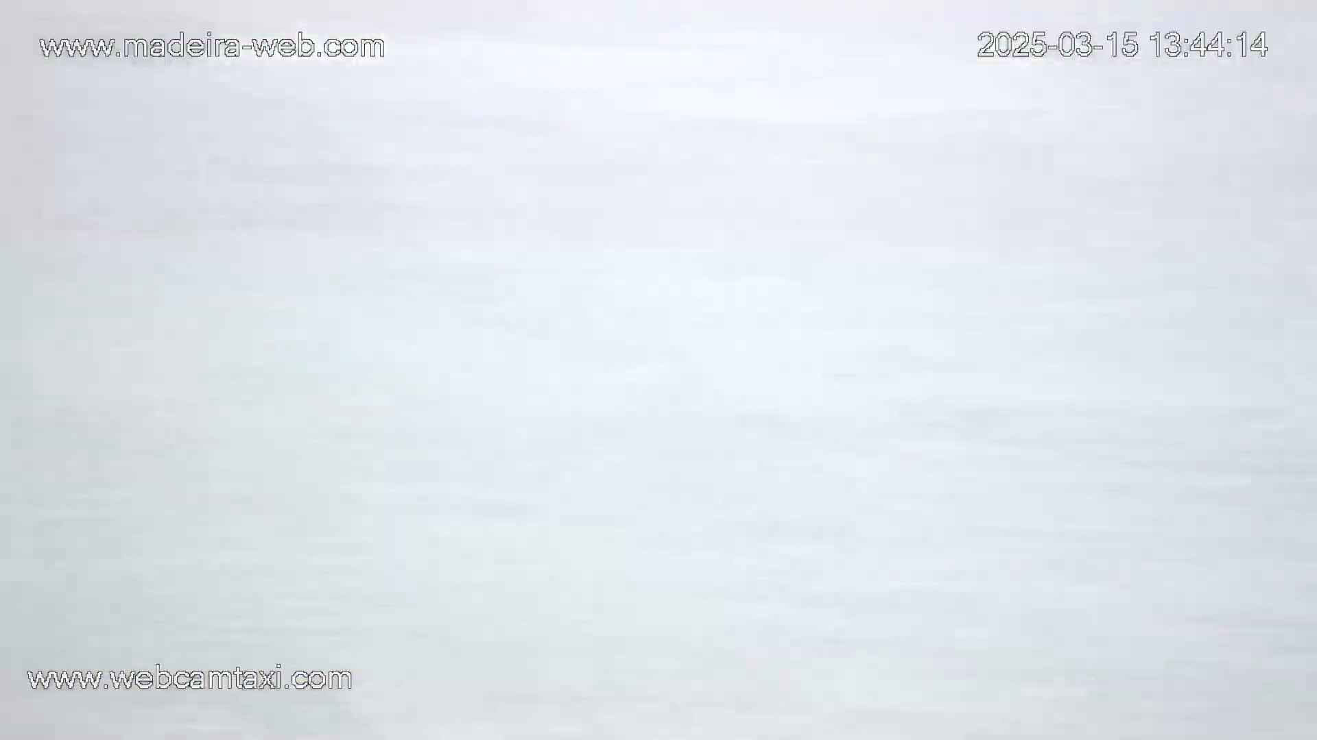 The image shows a solid, light-grey background.