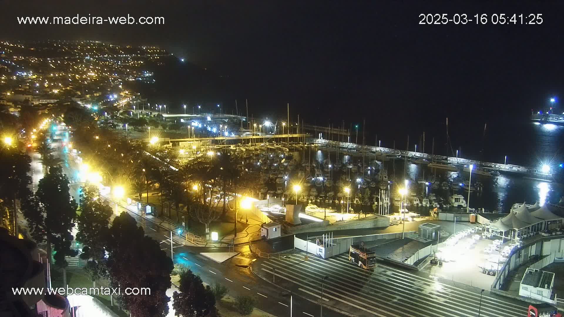 A nighttime, rain-slicked marina filled with docked boats is shown, adjacent to a brightly lit roadway and hilltop city lights.