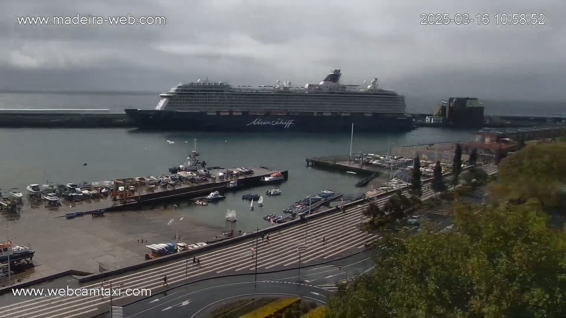 A large cruise ship is docked at a harbor on an overcast day, with numerous smaller boats moored nearby and a paved walkway along the waterfront.