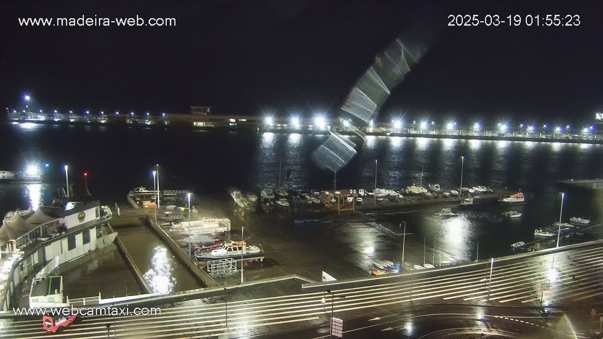A nighttime harbor scene shows many boats docked, with choppy water and wet pavement visible under bright lights.