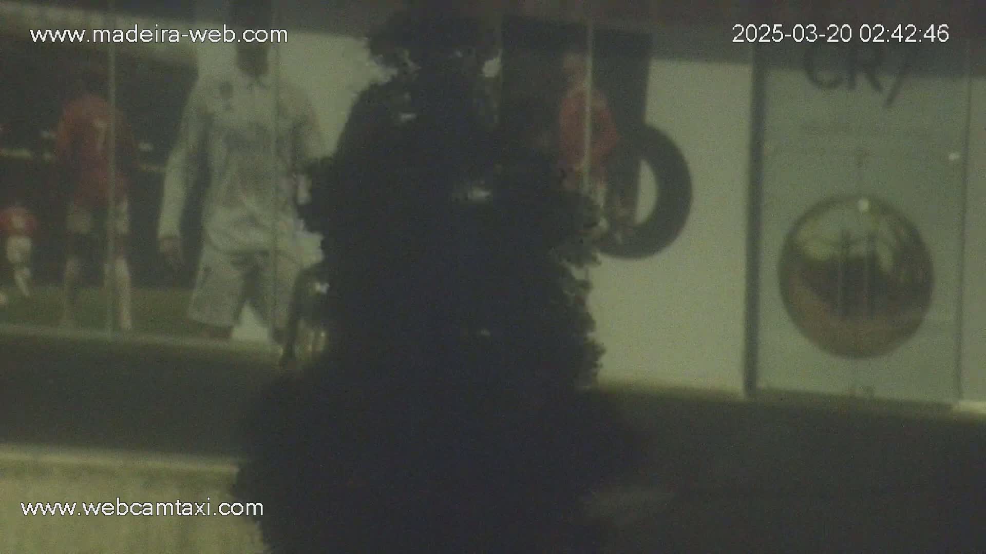 A blurry nighttime image shows a dark bush in the foreground with out-of-focus figures and signage in the background.