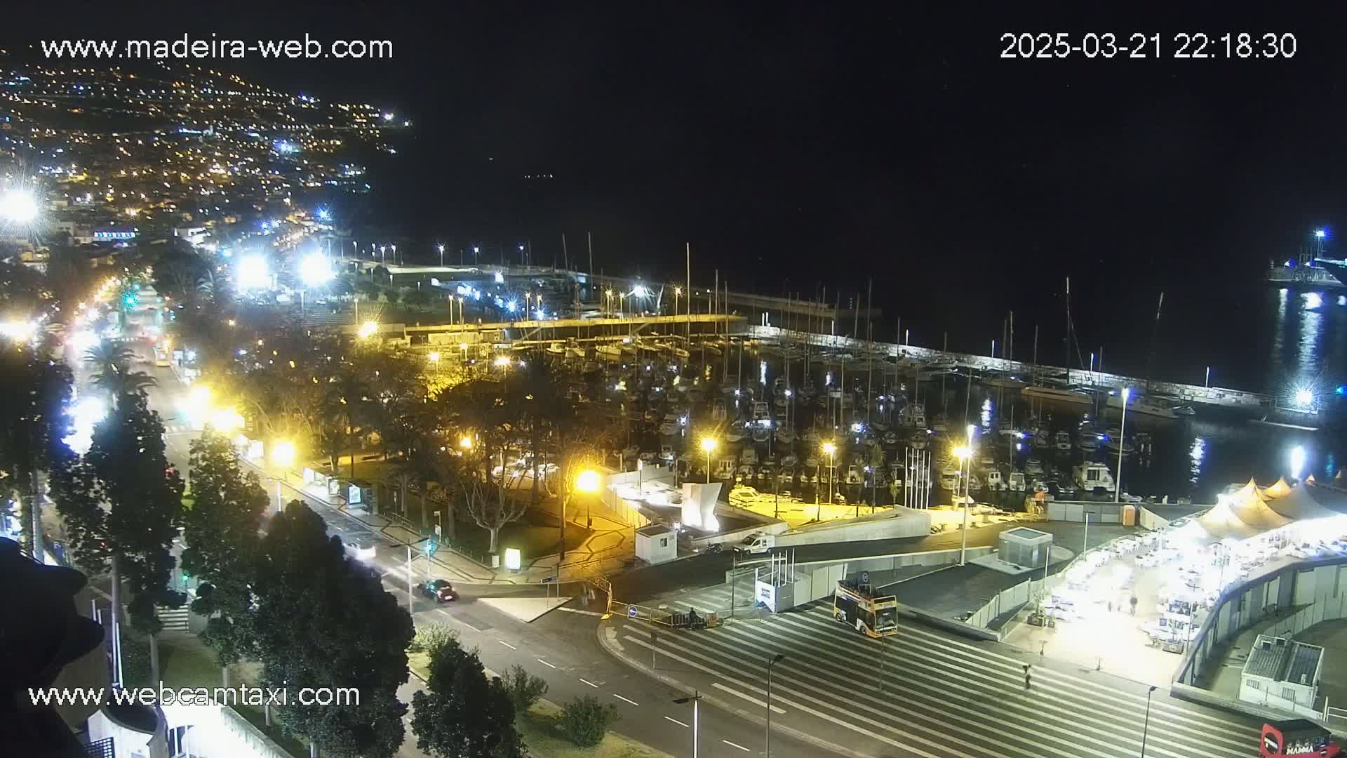 A nighttime aerial view of a marina filled with boats, adjacent to a city with illuminated streets and buildings, under a clear, dark sky.