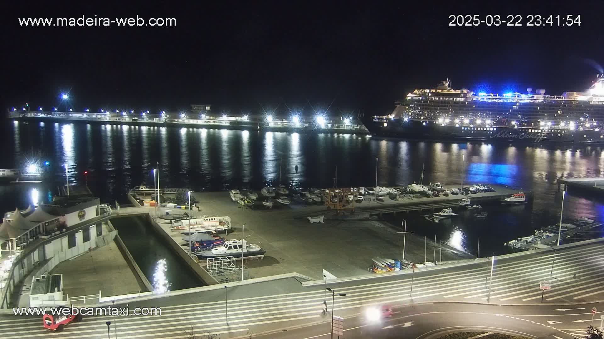 A large cruise ship is docked at a harbor at night, with numerous smaller boats moored nearby, under calm, dark skies.