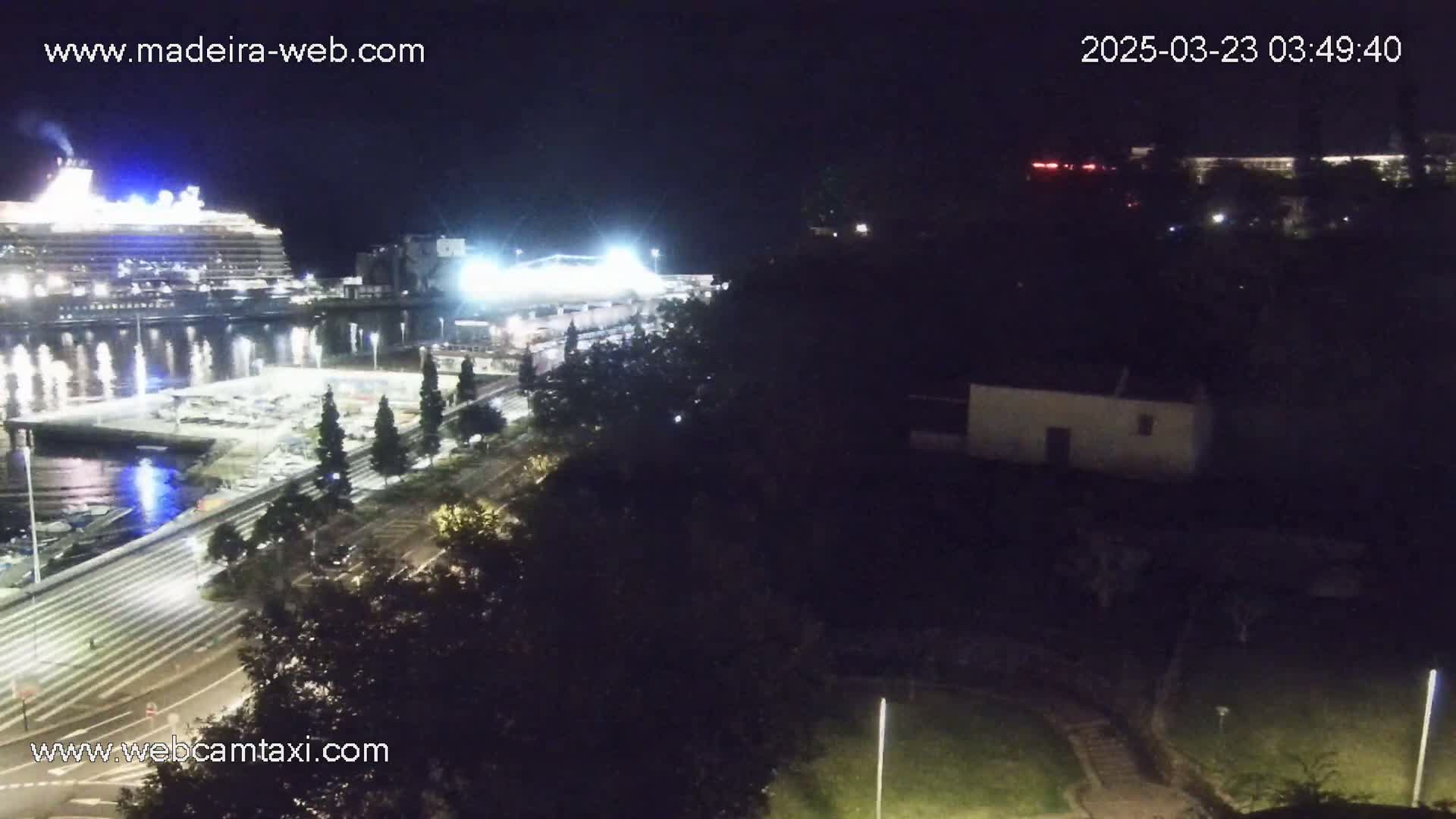 A large cruise ship is docked at a harbor at night, with a road and trees visible along the waterfront.