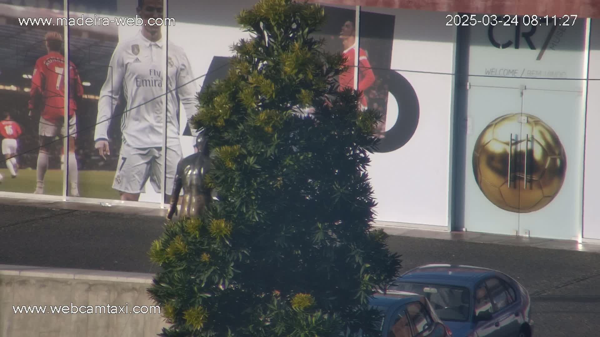 A statue is partially obscured by a lush green tree in front of a building displaying large images of soccer players and a golden soccer ball, under sunny conditions.