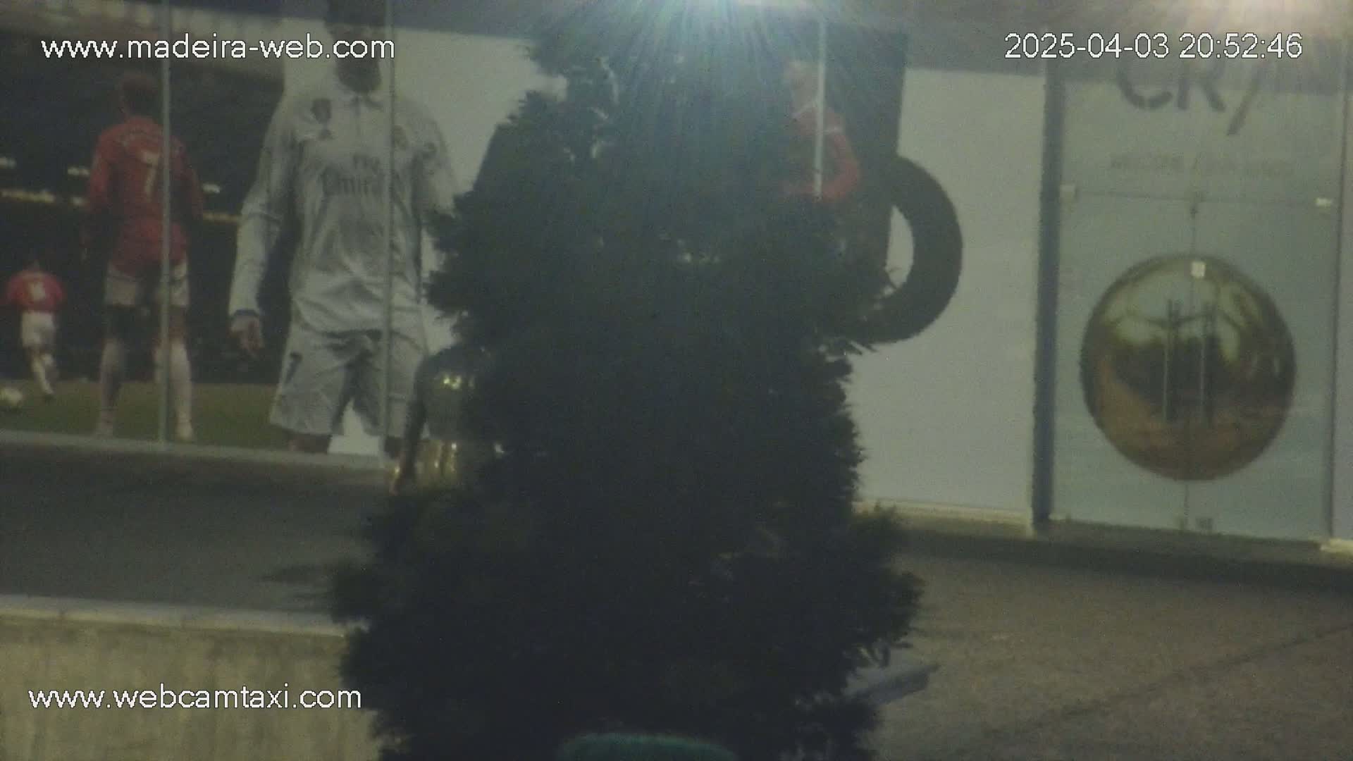 A large, dark, possibly artificial, evergreen tree-like object stands in front of a building at night, with a blurry image of soccer players visible on a wall behind it.