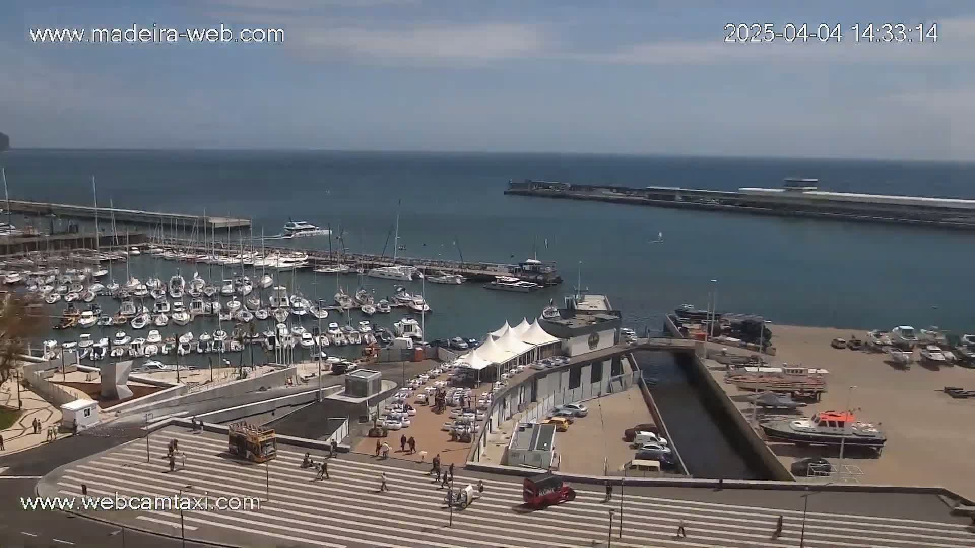 A marina filled with numerous boats is seen on a sunny day, with calm water extending to the horizon.